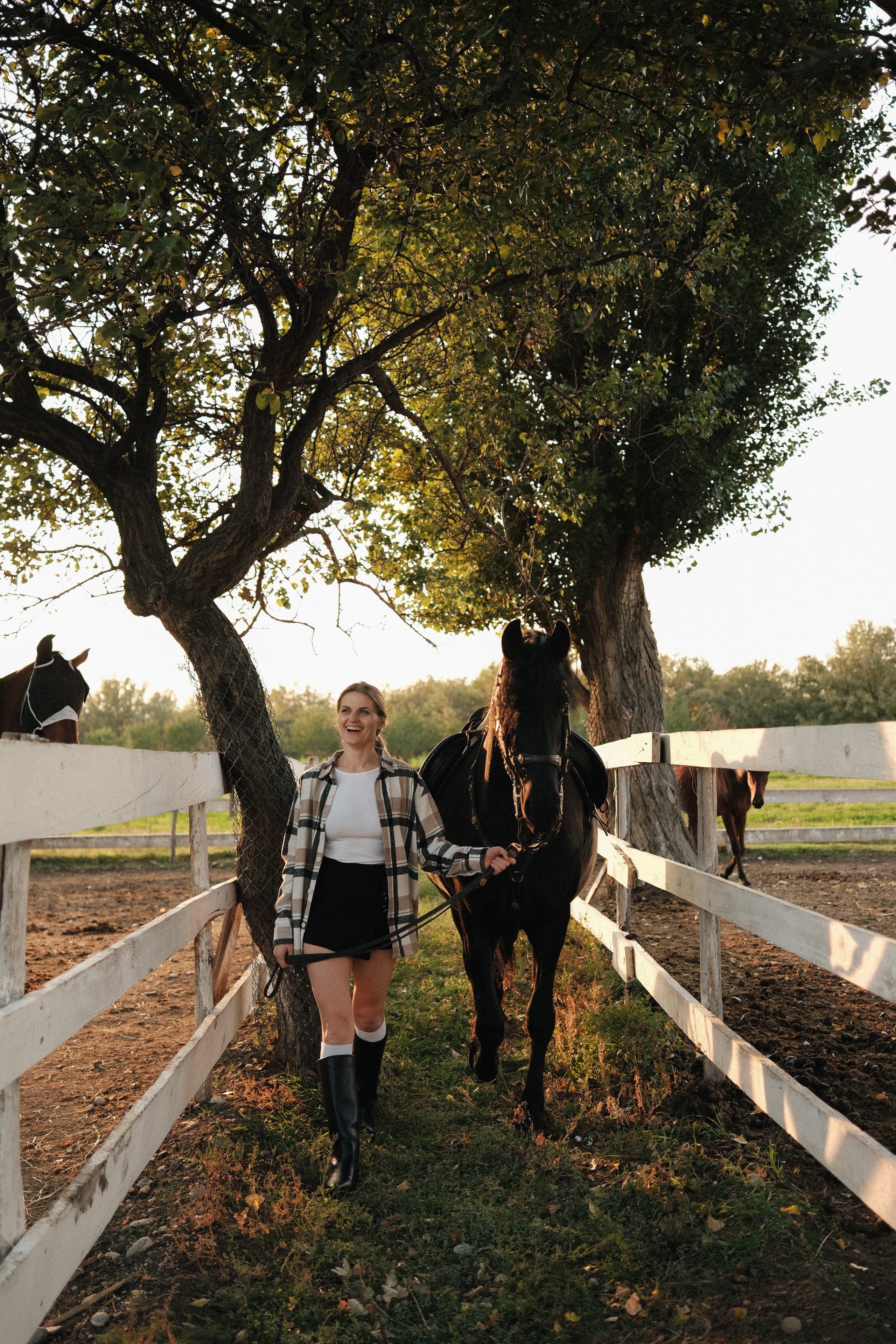 Horse photoshoot | Elena. Главная