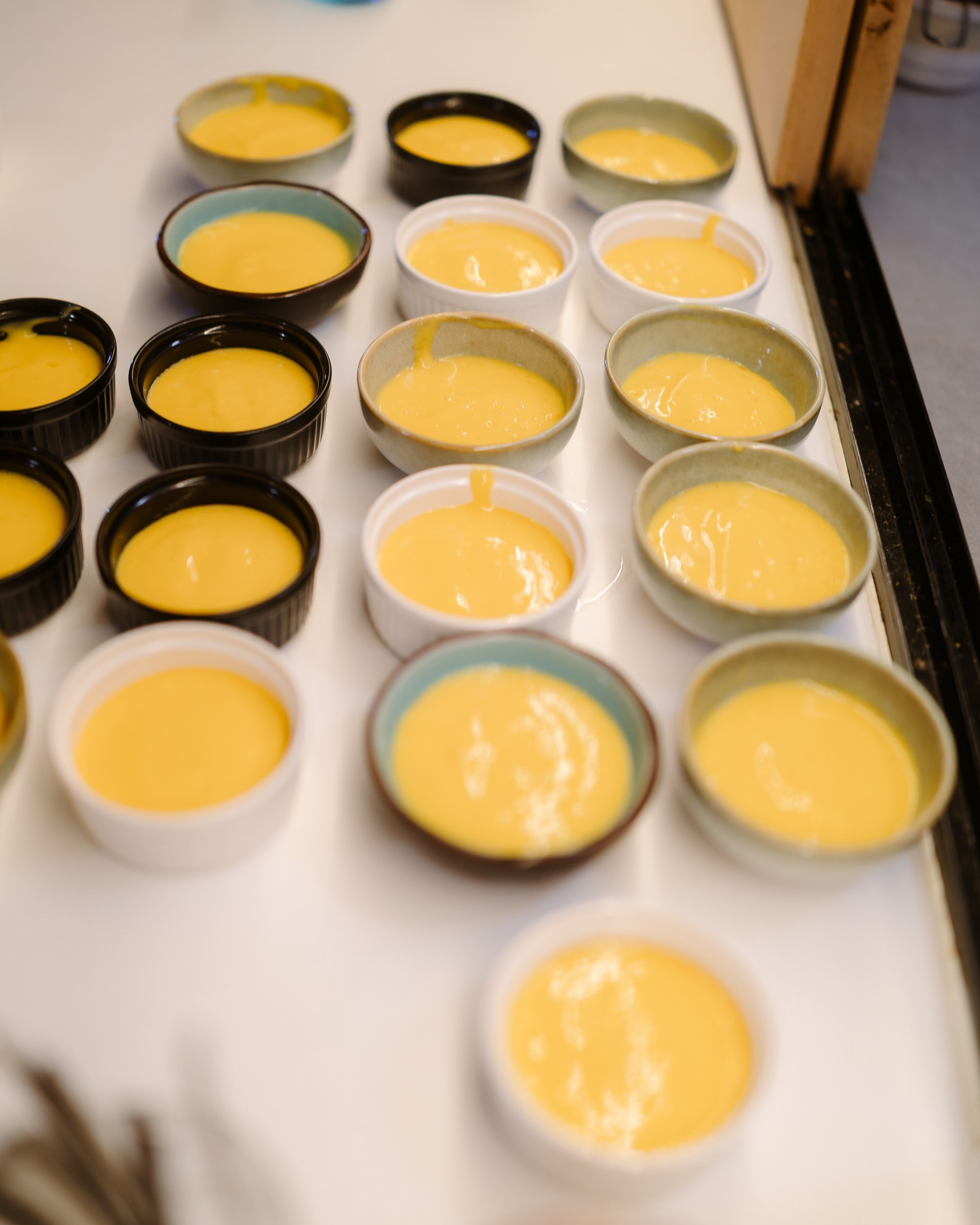 Indus at CUIB. Marius Ciocan