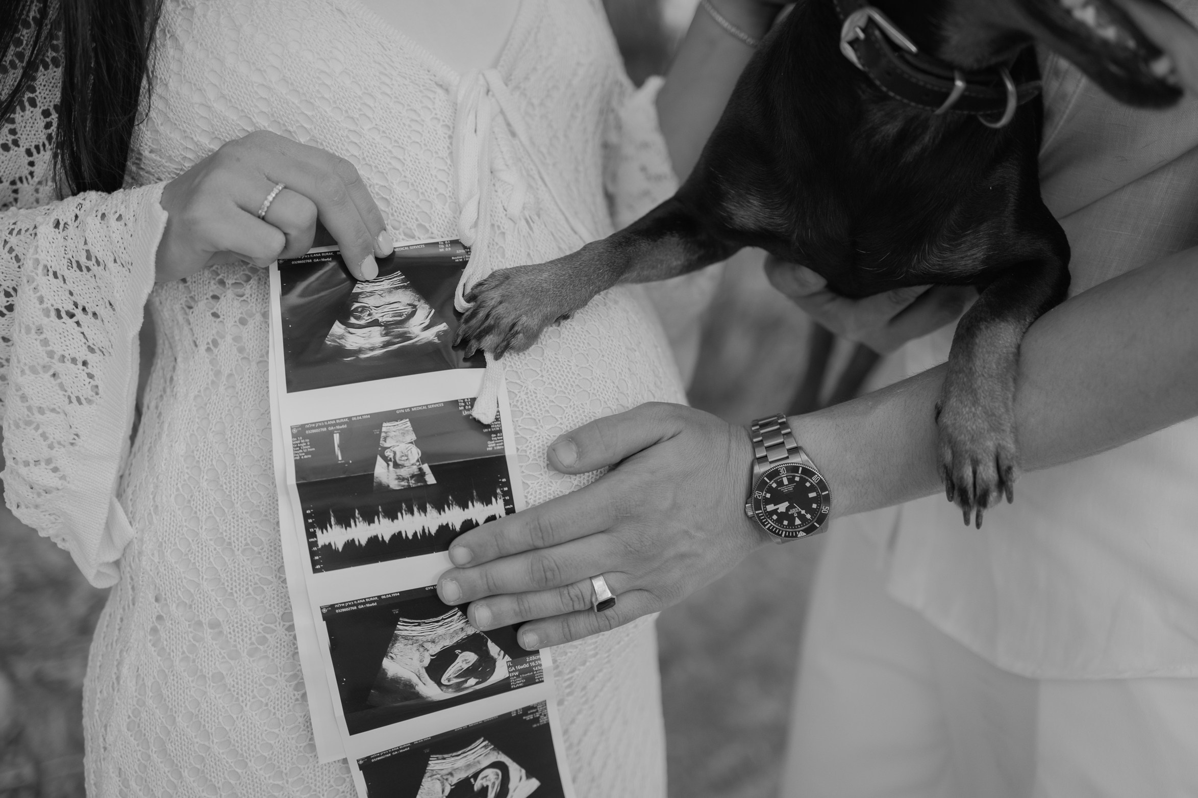 צילומי הריון עם כלב מתוק. דף בית