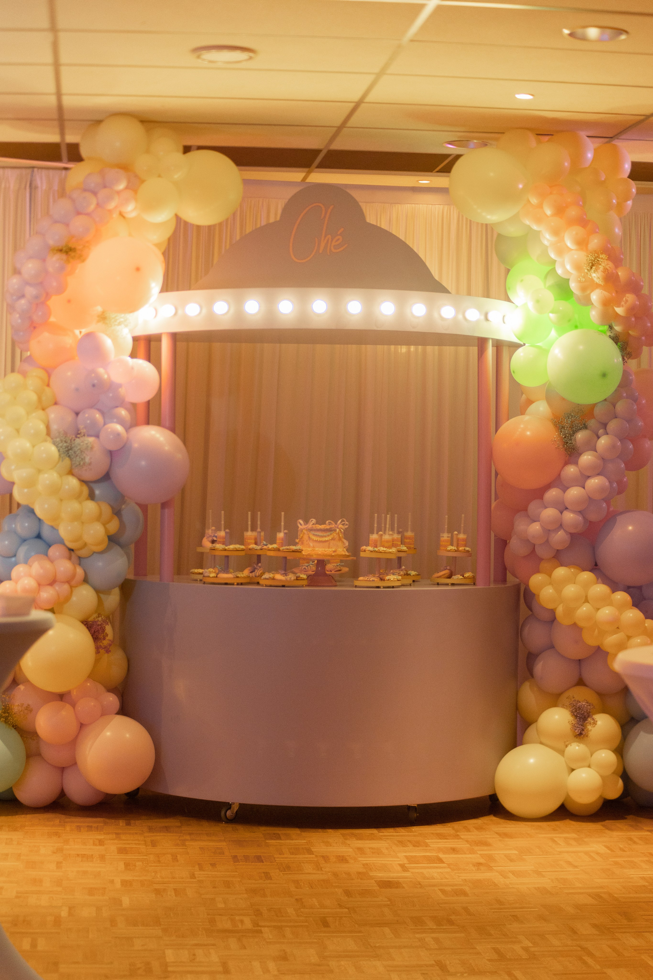 1 st Birthday. Portrait and Family Photographer in Netherlands