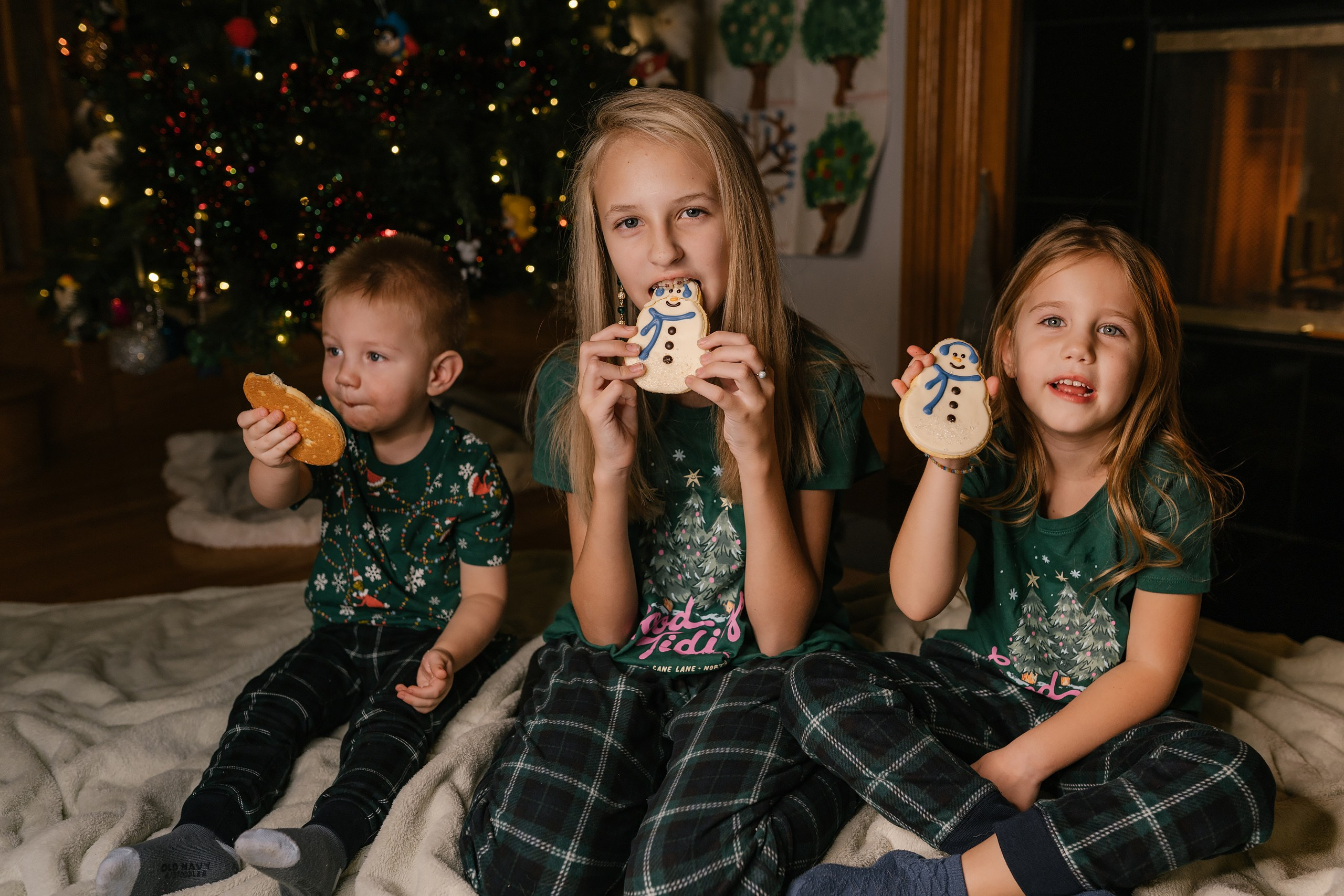 12.07.2025 Christmas Photoshoot. Wedding family event photographer in Chicago Nick Yushevich