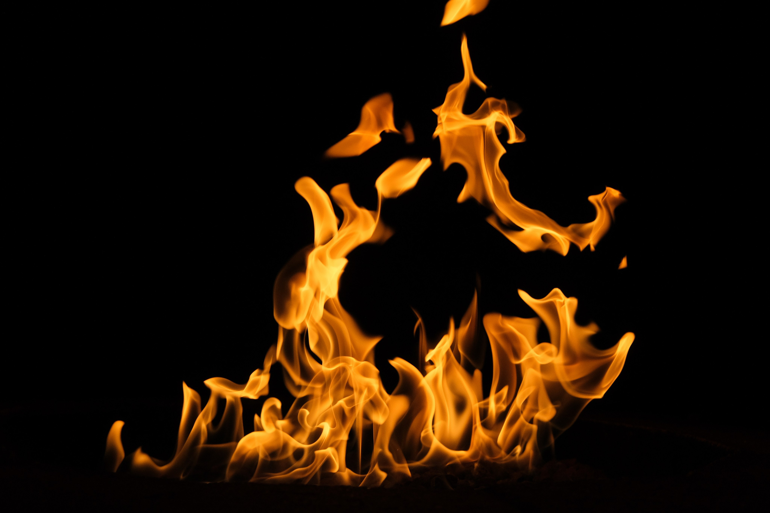 VATRA. Reportage concert portrait photography in the San Francisco Bay Area