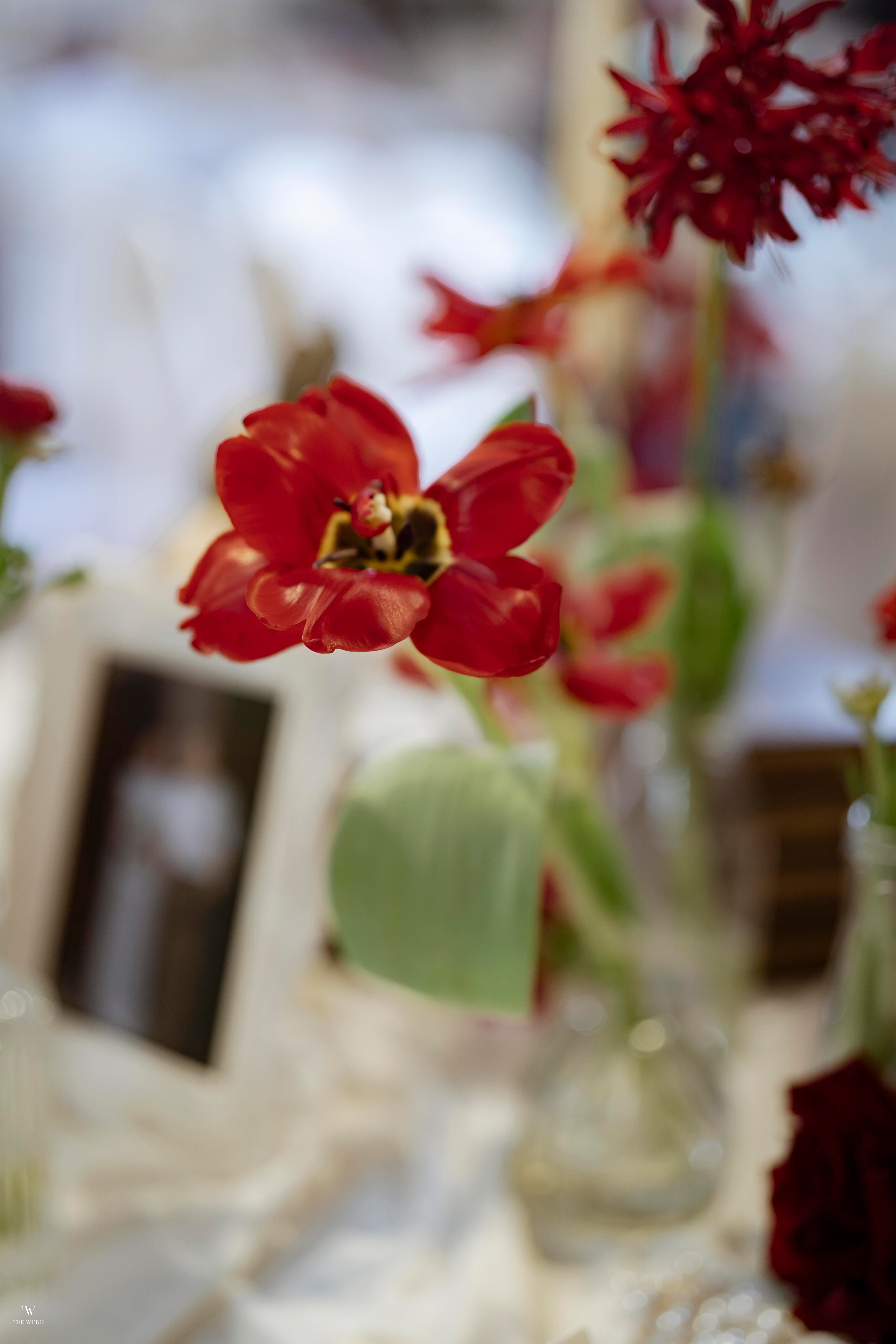 NGHIA & NGOC. WEDDING PHOTOGRAPHER IN VIETNAM