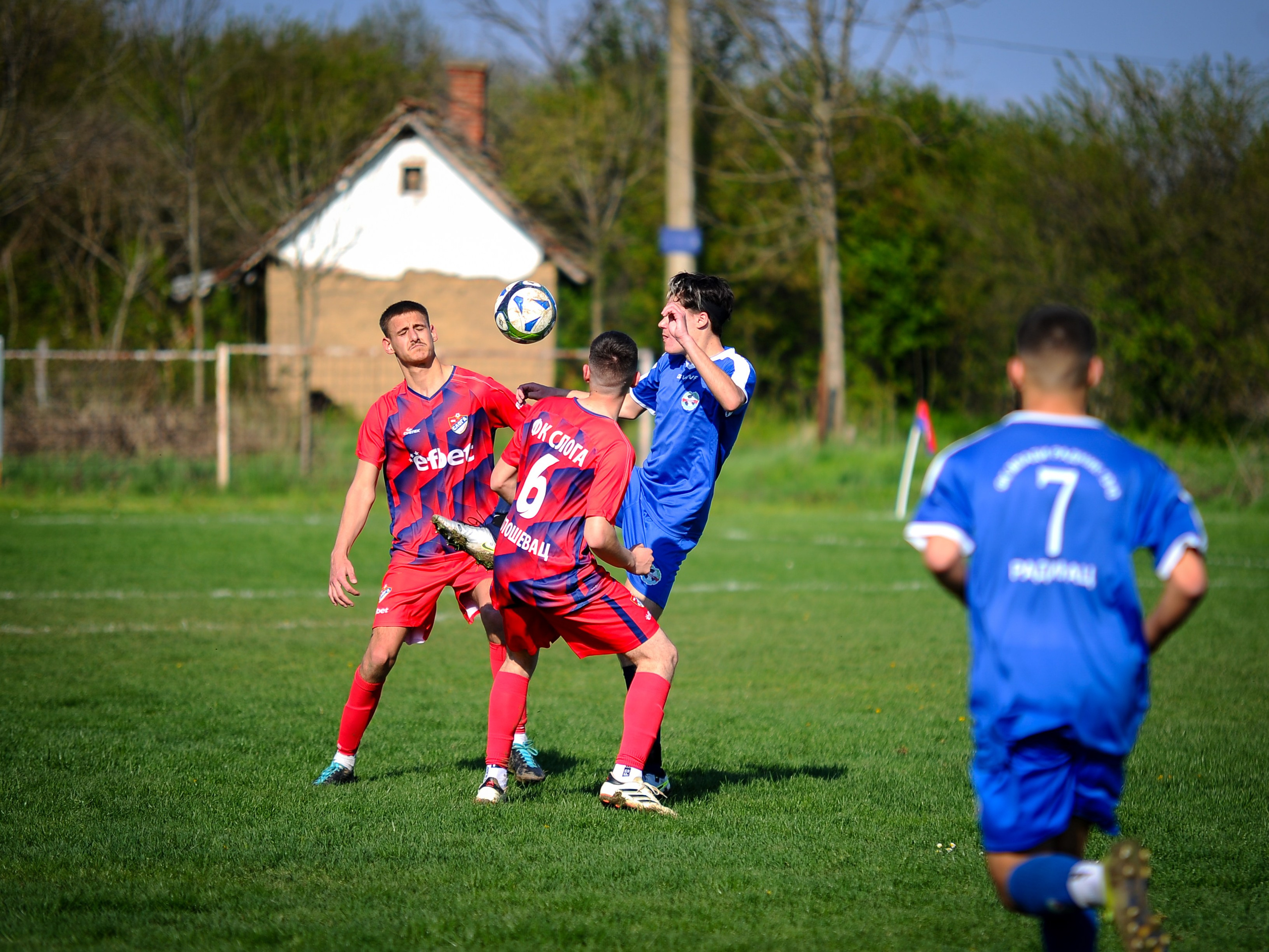 Sport. Janjić Photography