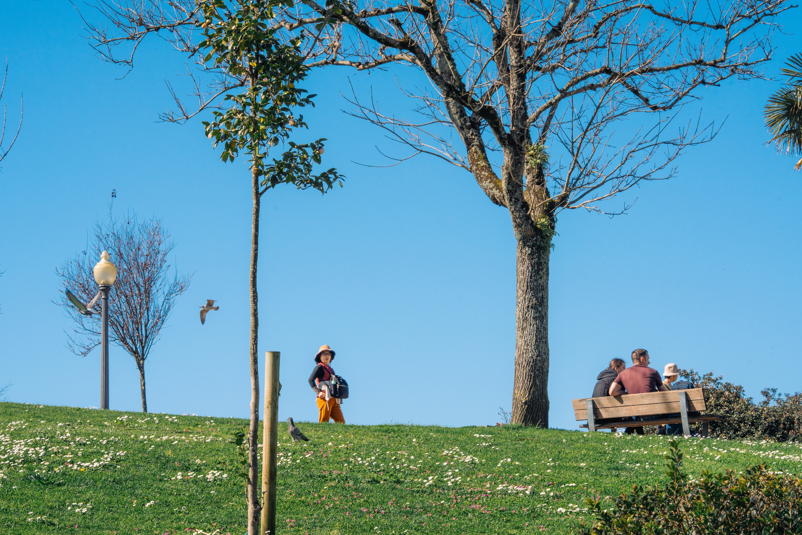 Street. Maria Sher. Professional photographer from Porto, Portugal