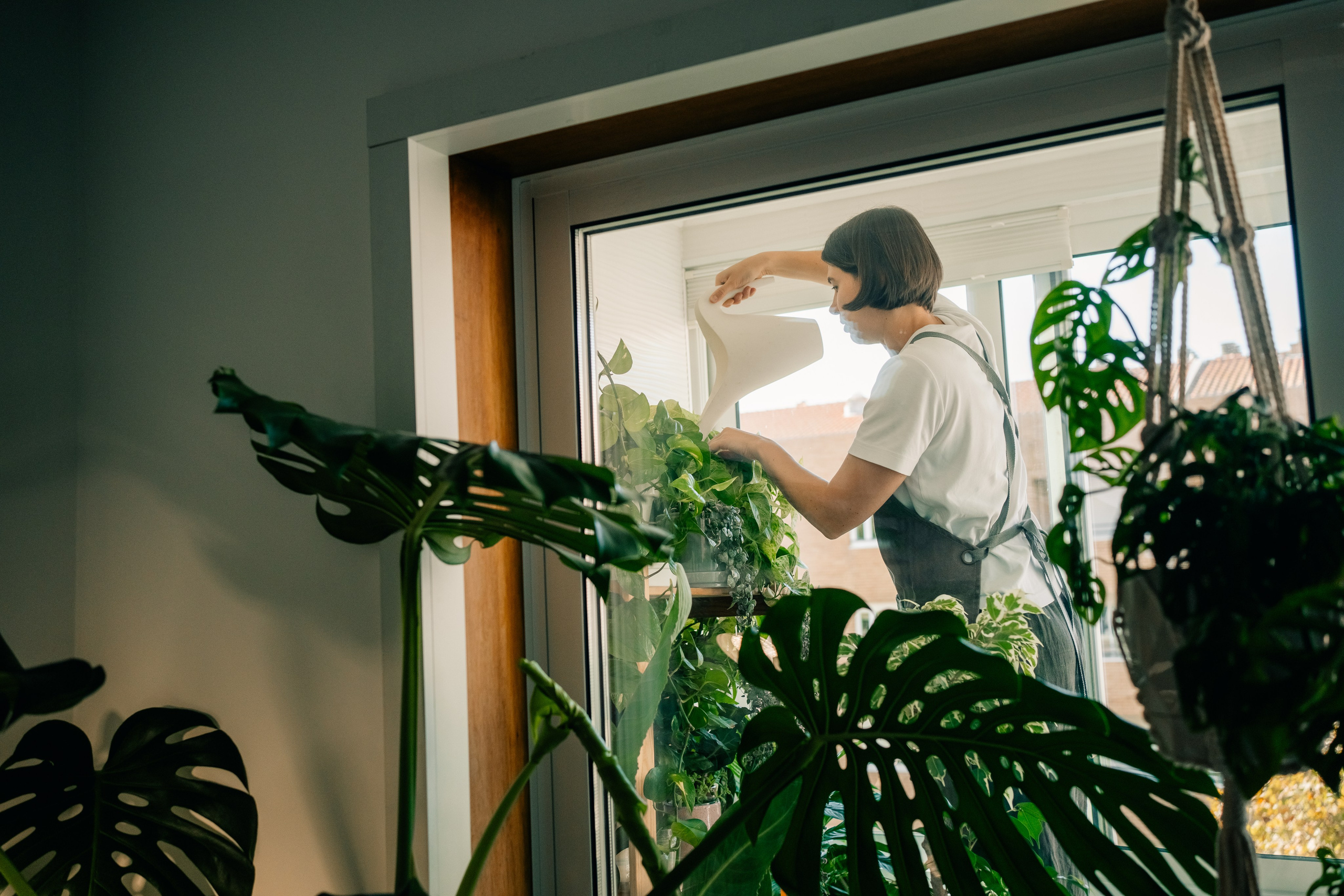 No Drama Plants. Maria Sher. Fotógrafa profissional do Porto, Portugal