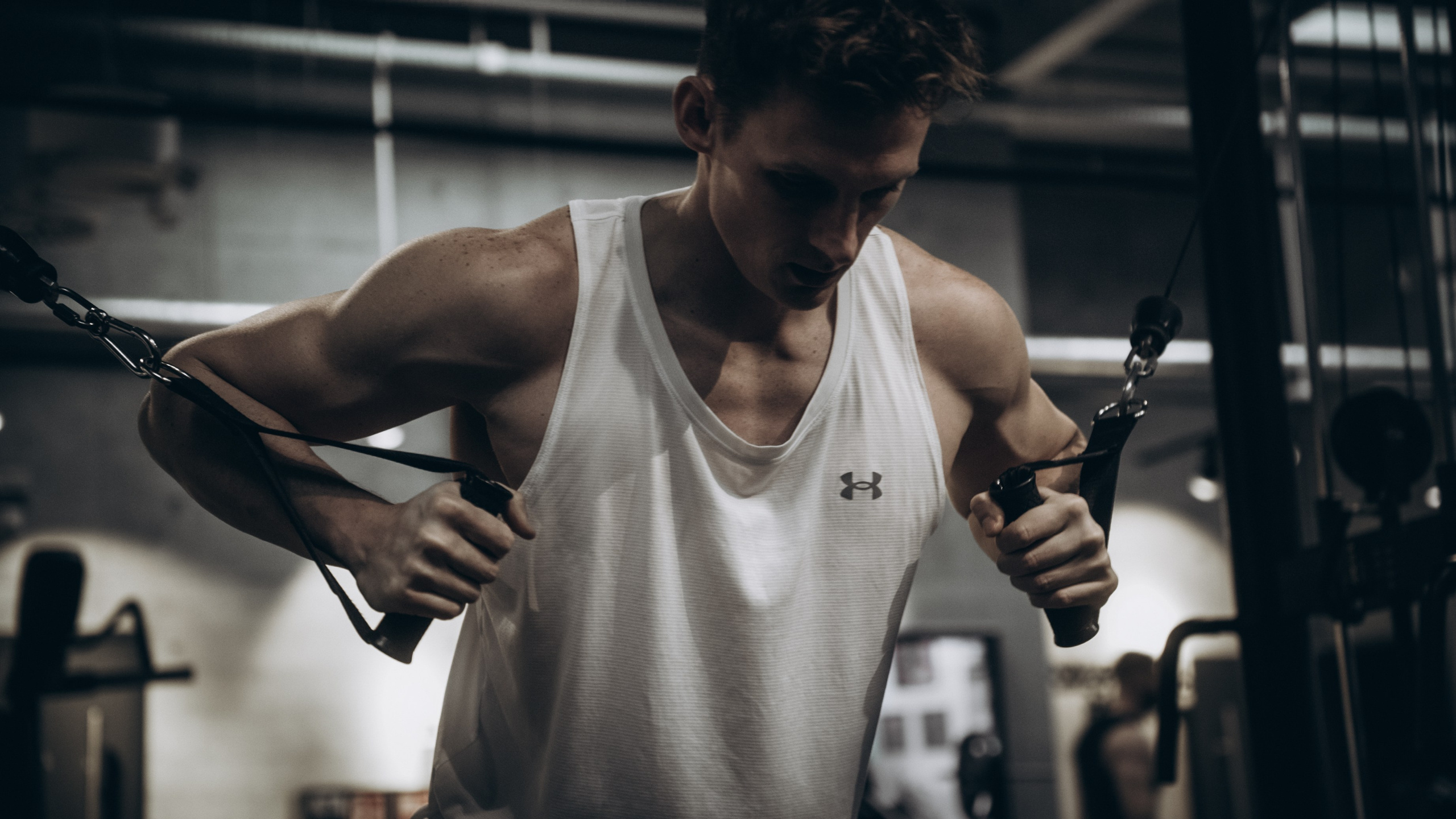 Fitnes & Bodybuilding. Mike Avelli