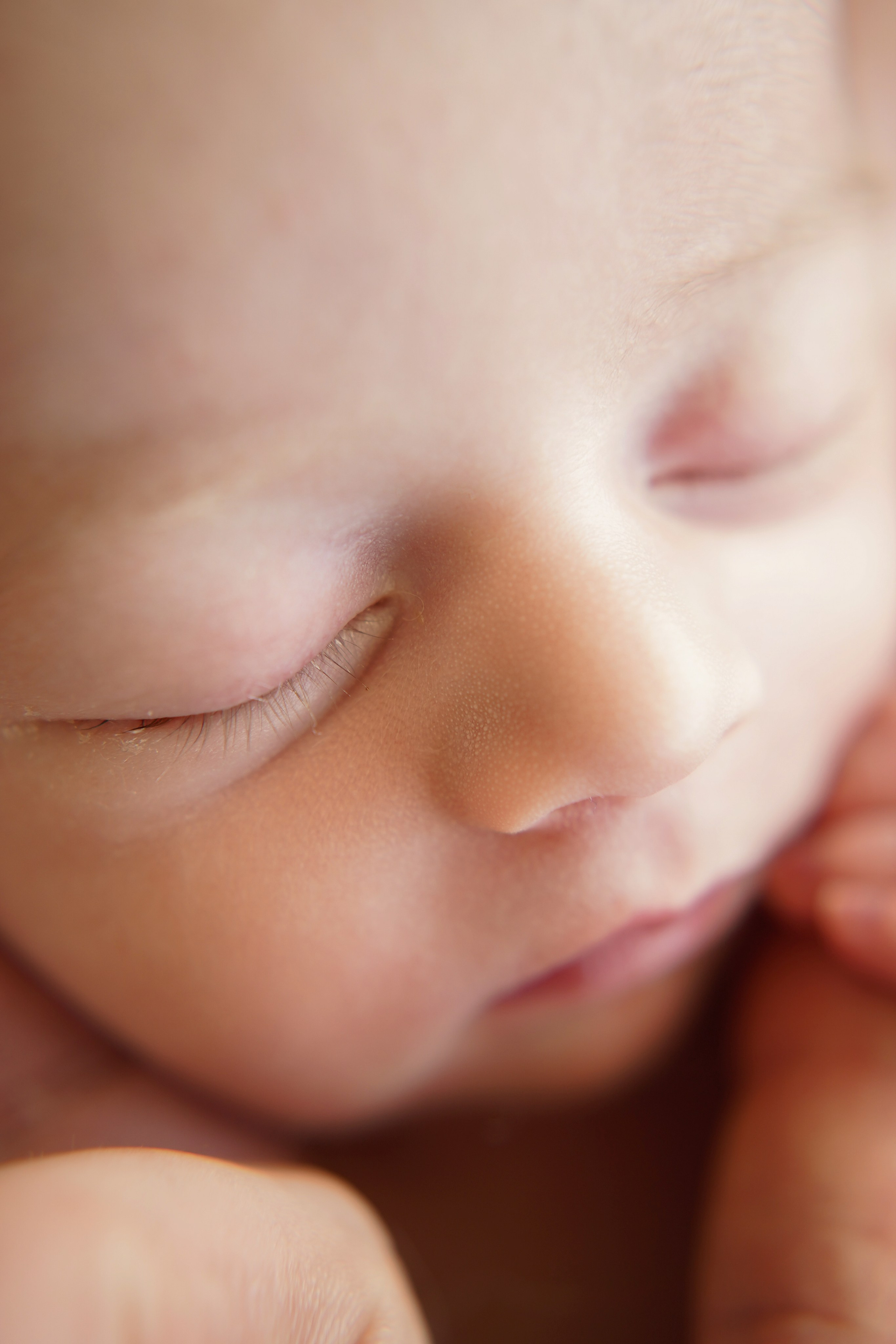 Newborn+Family. Maternity, family and newborn photography in San Francisco Bay Area