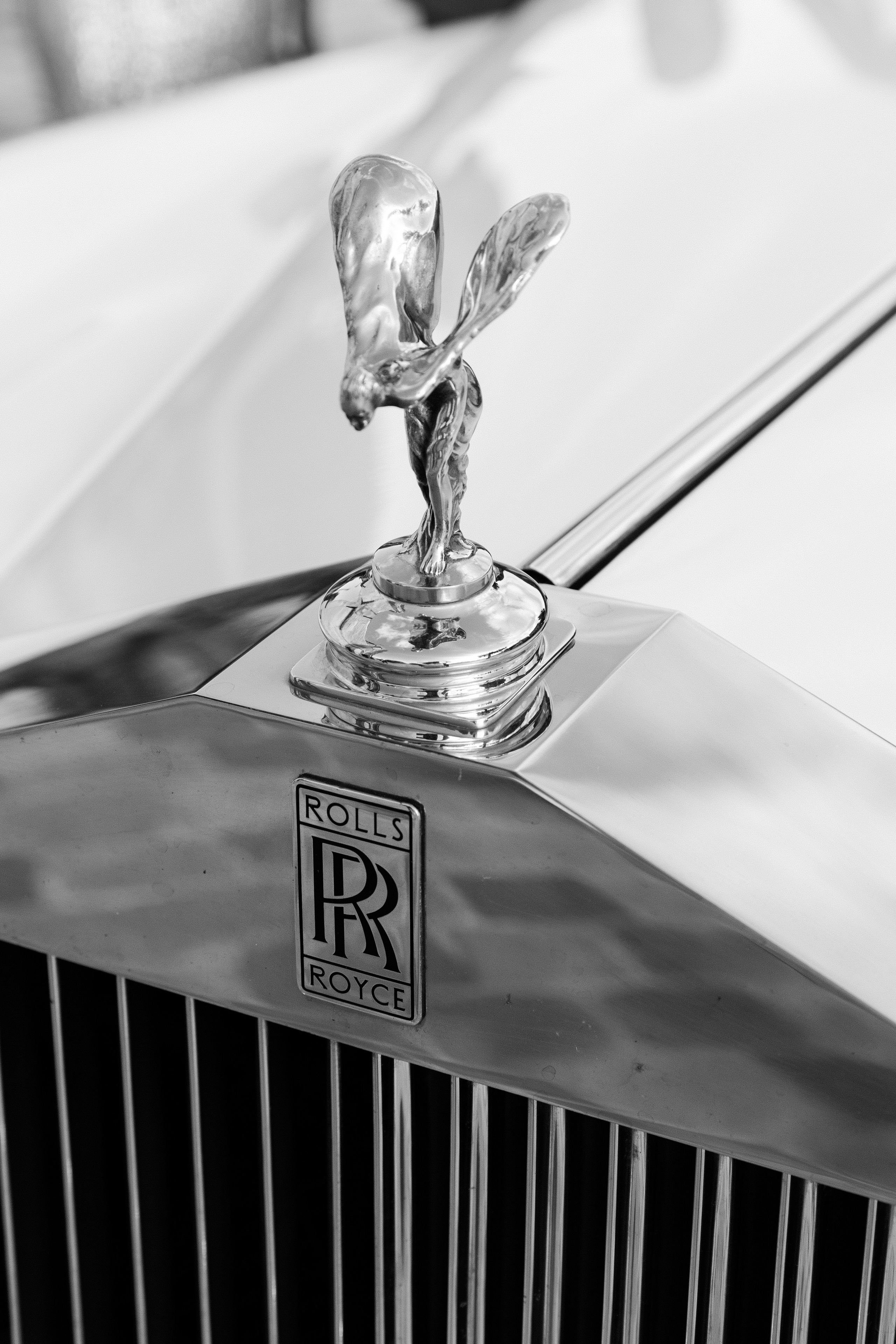 Chloe & Romeo. Photographer in Paris