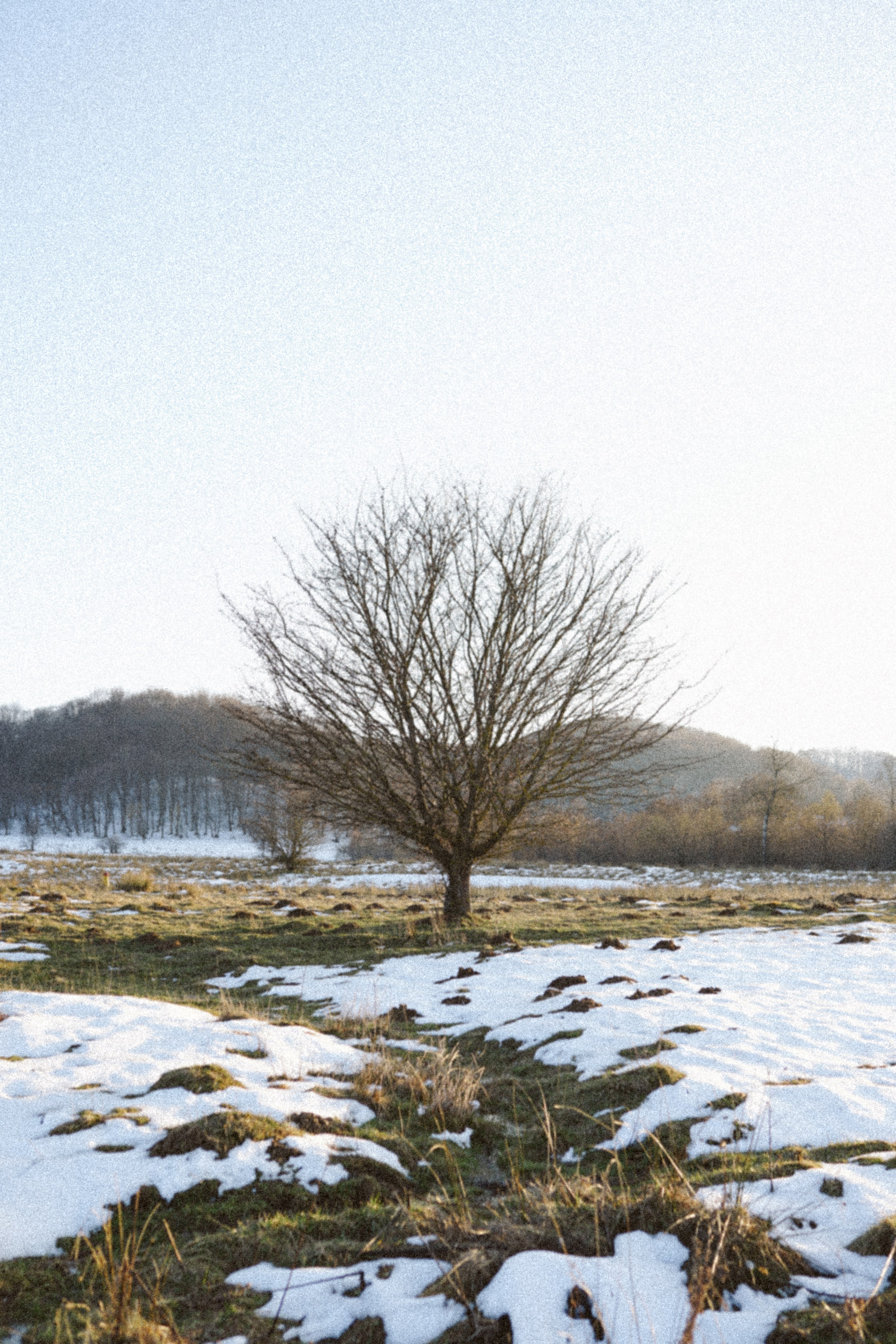 Mărțișorul x Mes Amis: O Poveste de Primăvară | Mădălina Beda. Madalina Beda- Artist vizual, fotograf, doula la nastere, consultant babywearing Brasov si in toata tara