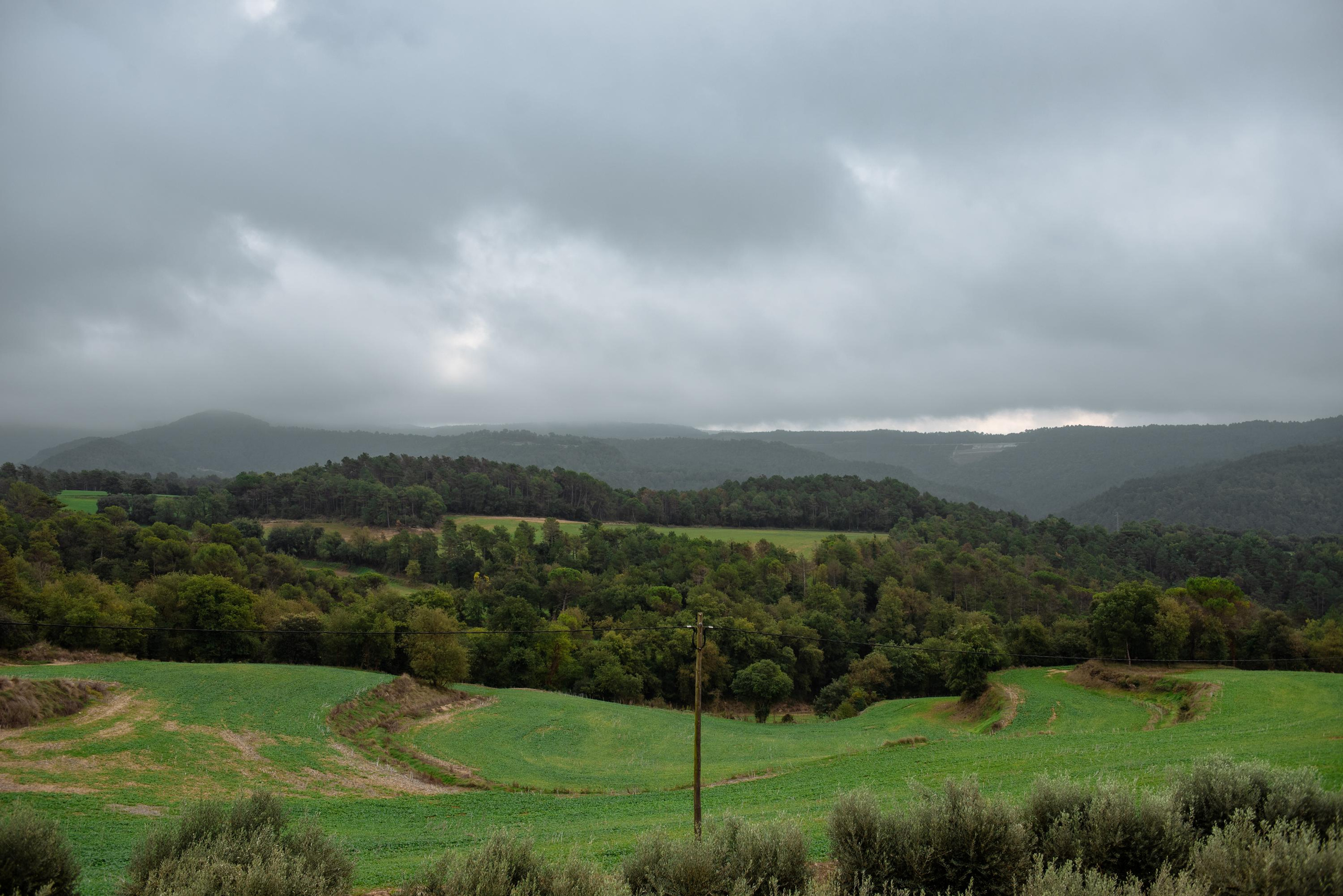 Carola & Enric. Fotógrafa Ekaterina Gasanova - sesiones de fotos en Barcelona