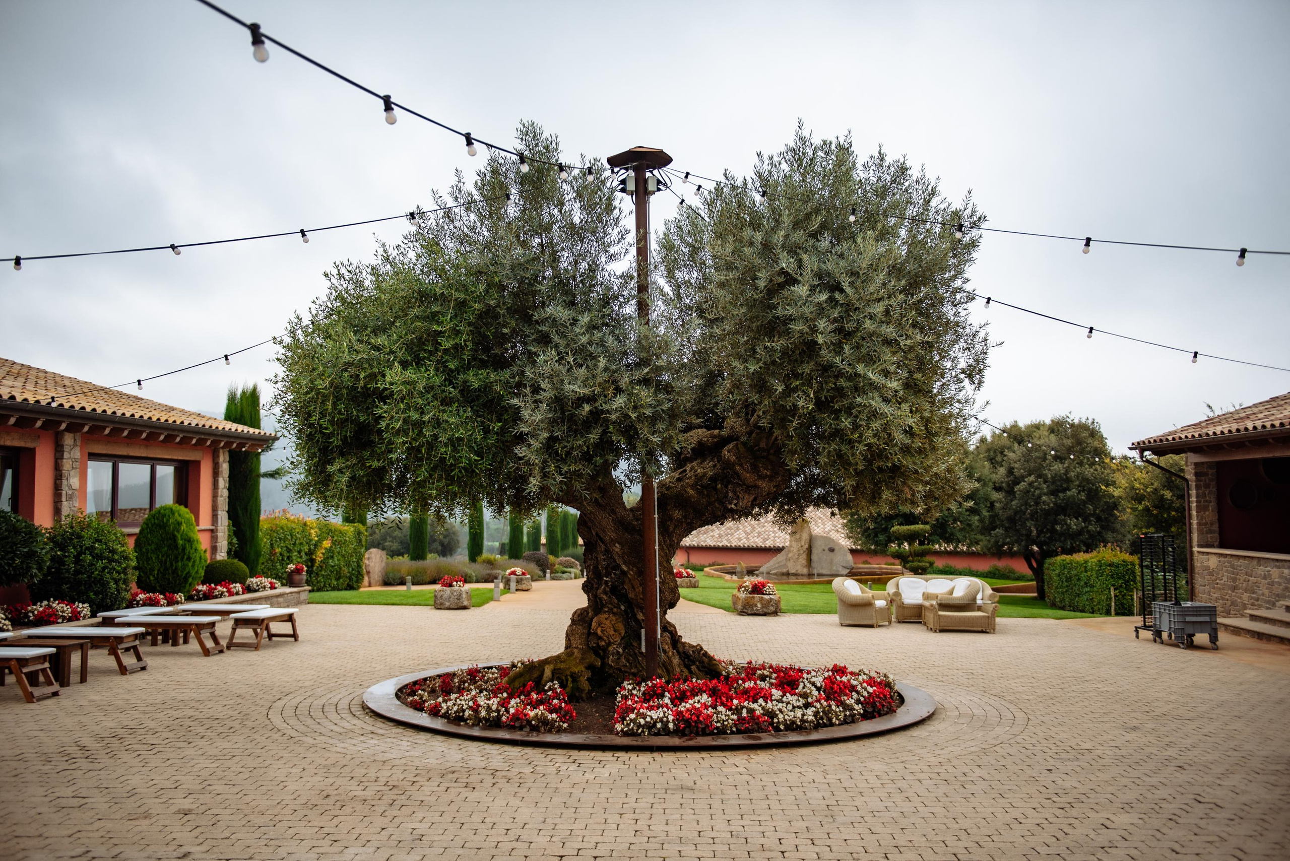 Carola & Enric. Fotógrafa Ekaterina Gasanova - sesiones de fotos en Barcelona