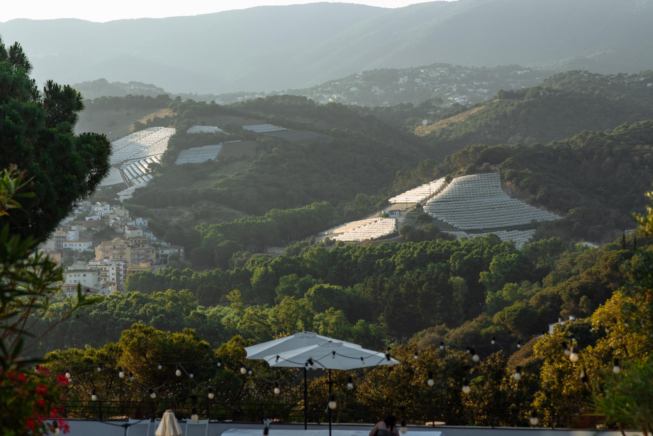 Gisela & David. Fotógrafa Ekaterina Gasanova - sesiones de fotos en Barcelona