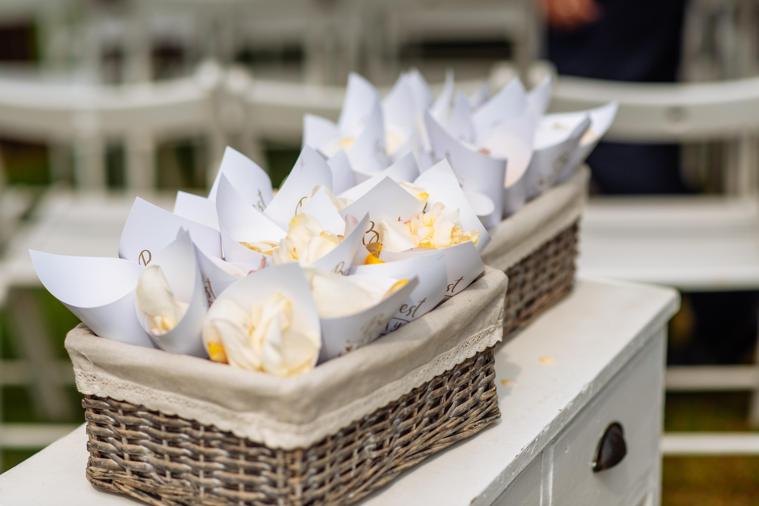 Gisela & David. Fotógrafa Ekaterina Gasanova - sesiones de fotos en Barcelona