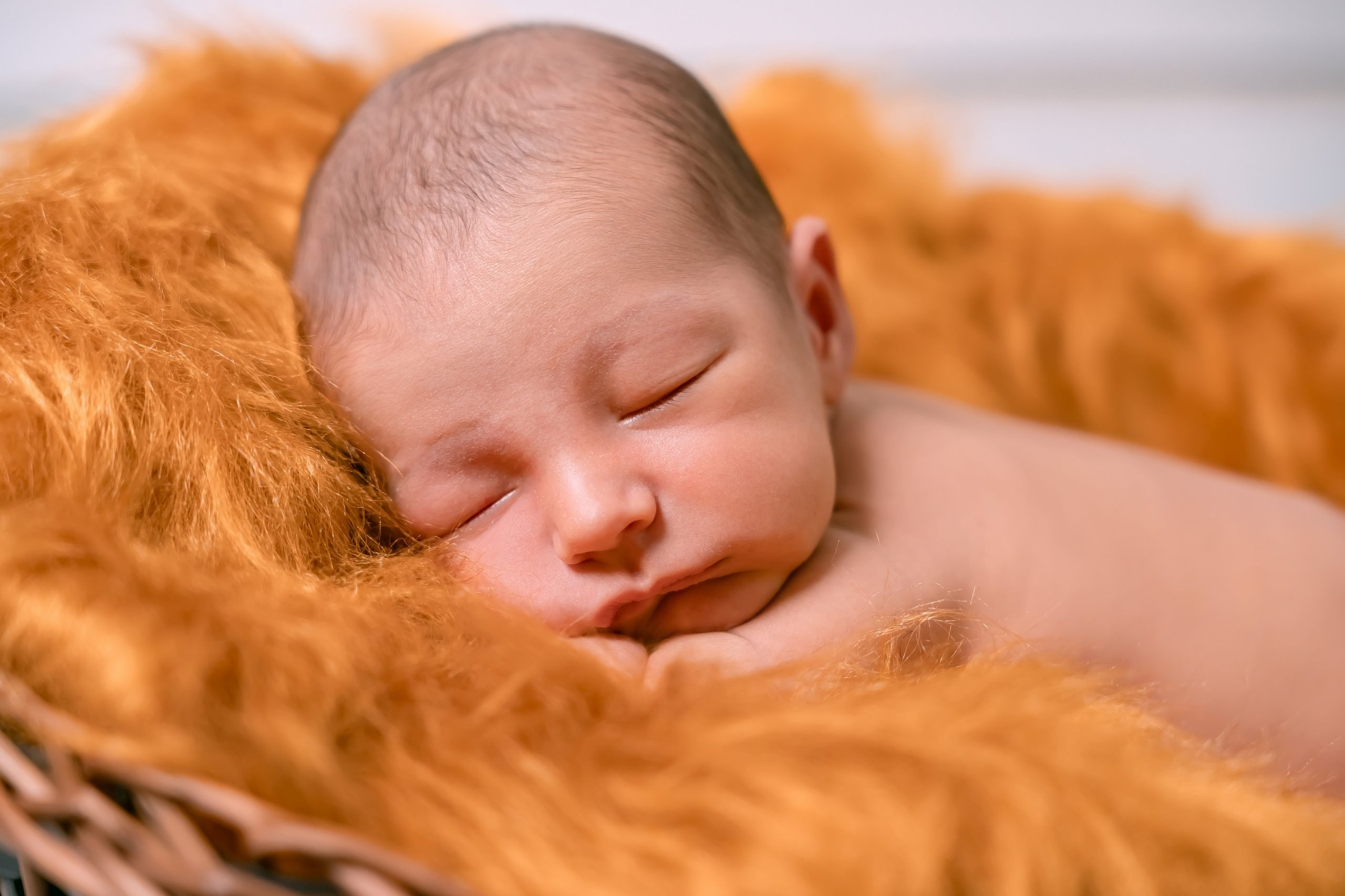 Gael — 30/12/2023. Luiz Medeiros Produções