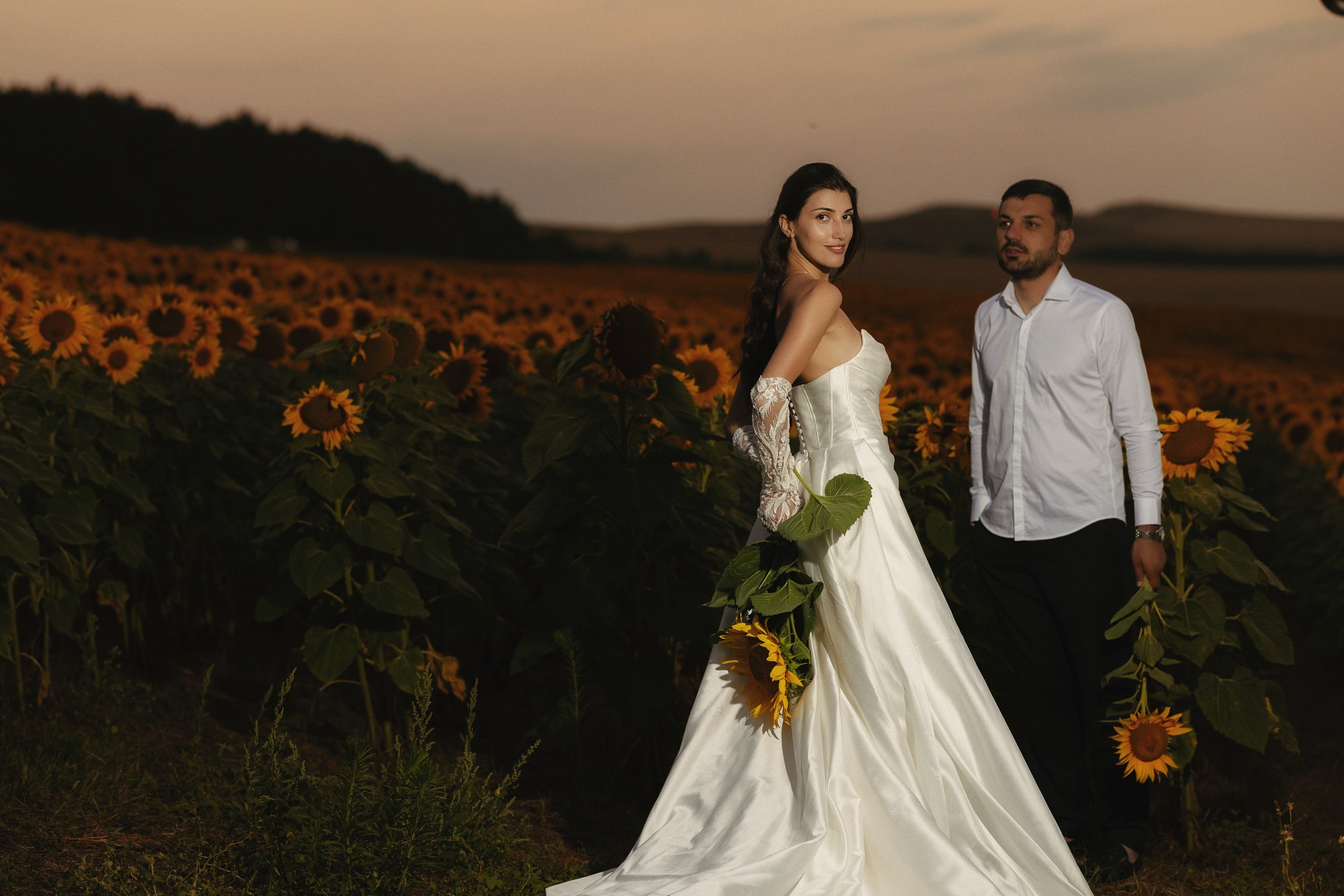 Sunflowers. Lika Gabunia photography lika gabunia