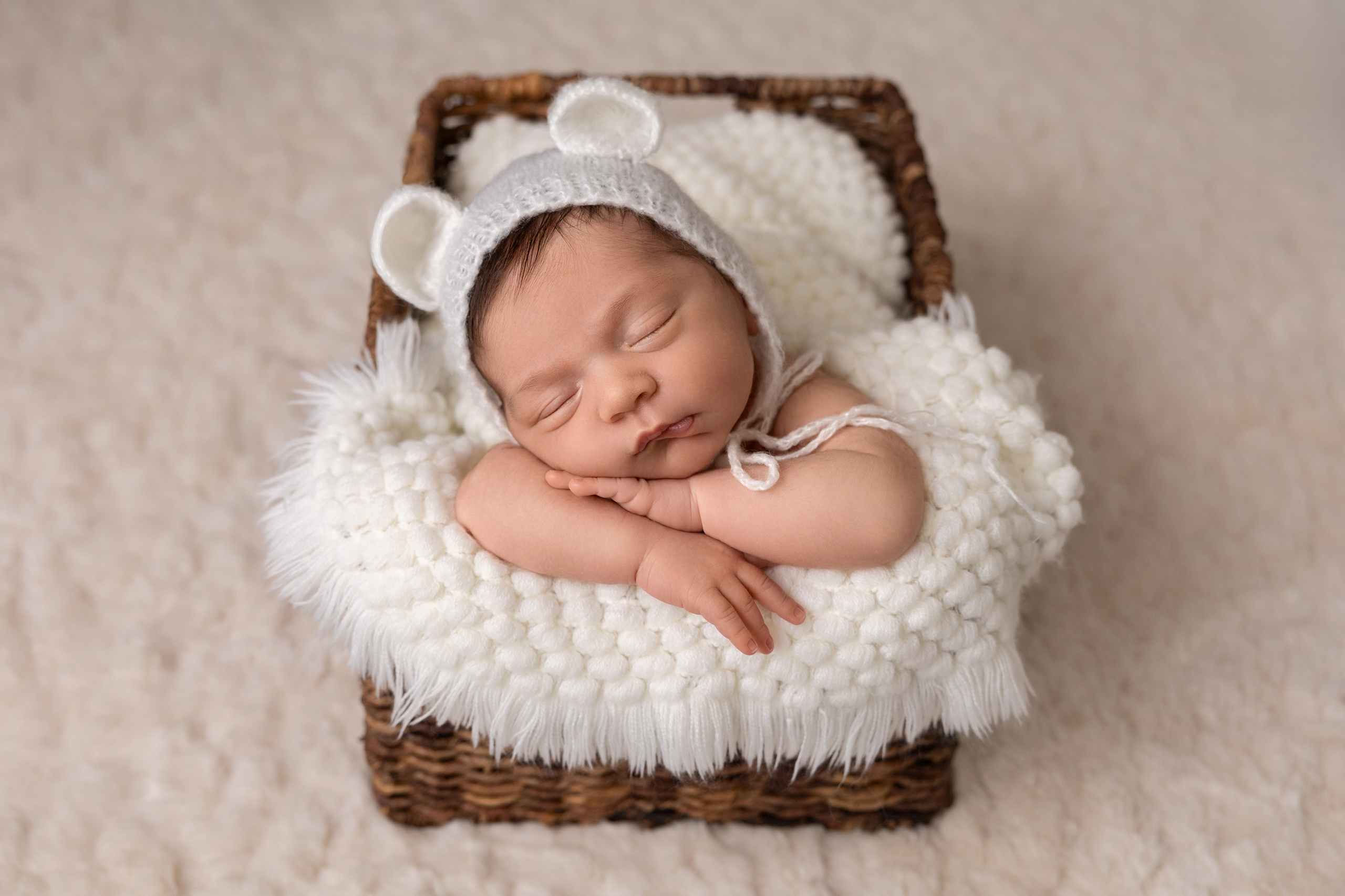 Newborn photos. Newborn photographer in Tampa Bay Area, FL
