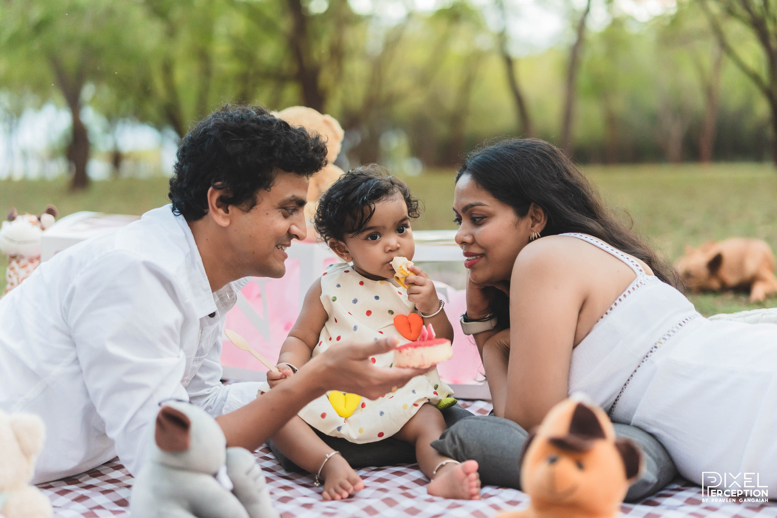 Outdoor Baby Photoshoot. Pixel Perception Studio