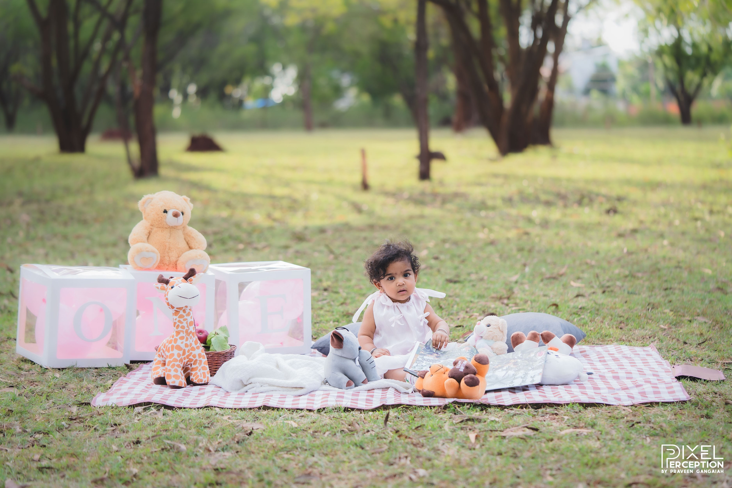 Outdoor Baby Photoshoot. Pixel Perception Studio