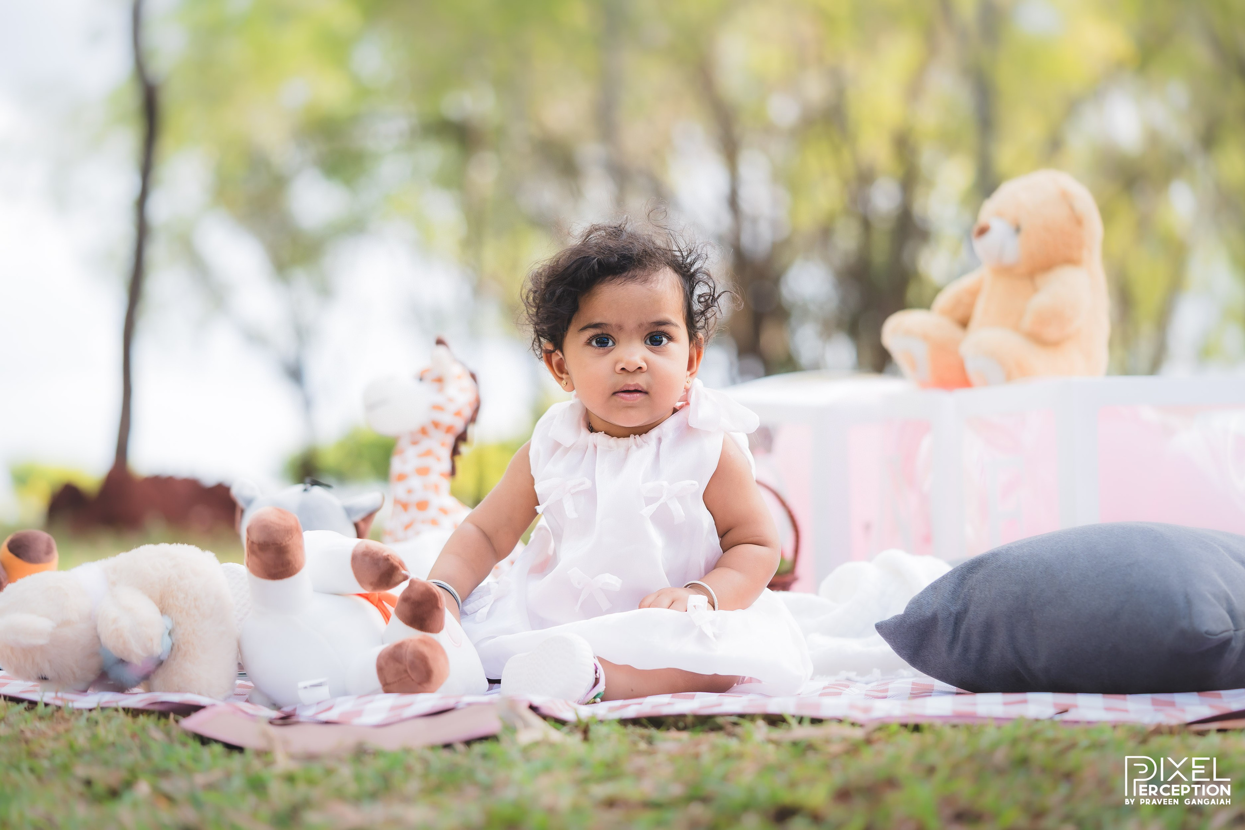 Outdoor Baby Photoshoot. Pixel Perception Studio