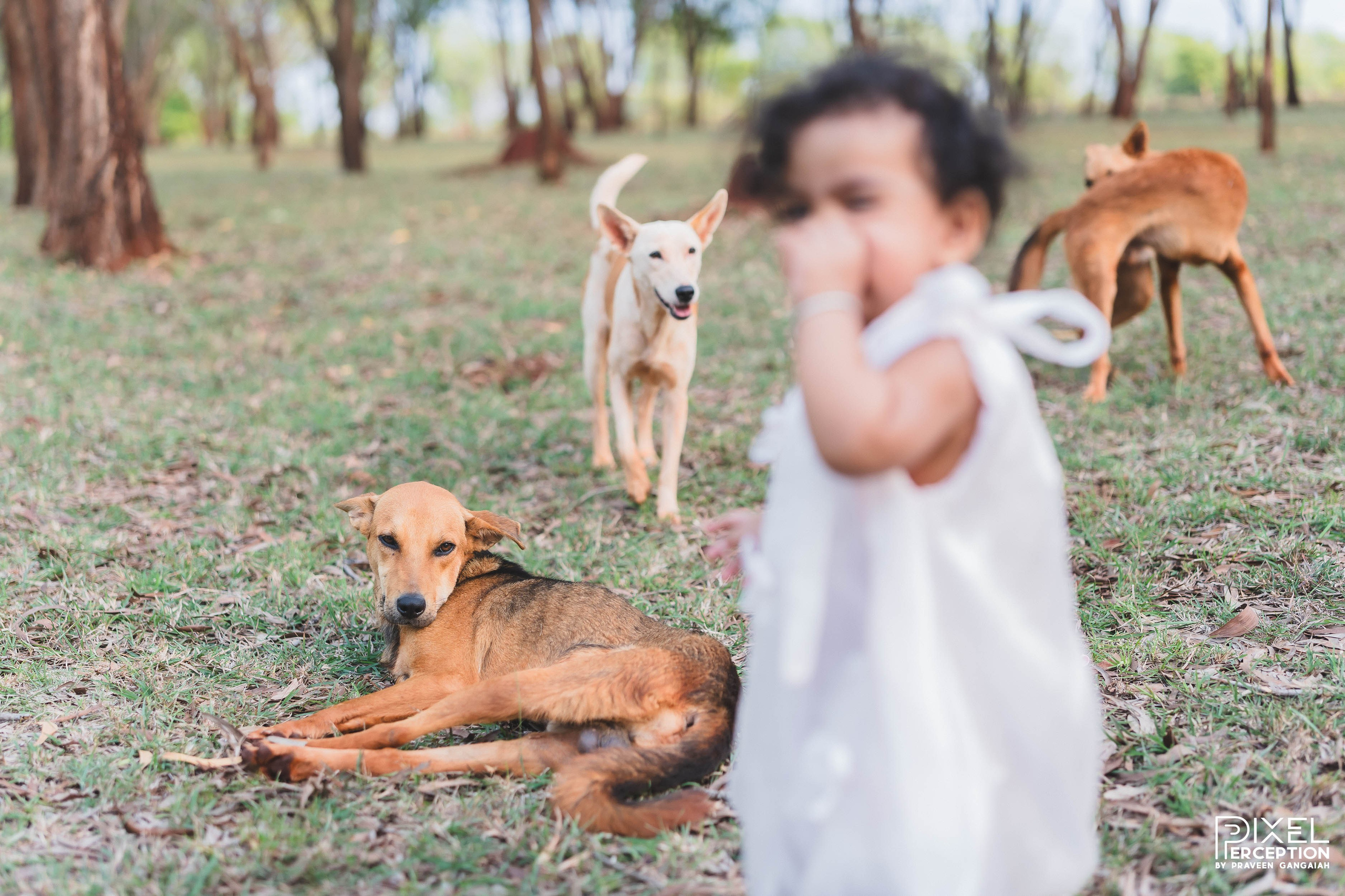 Outdoor Baby Photoshoot. Pixel Perception Studio
