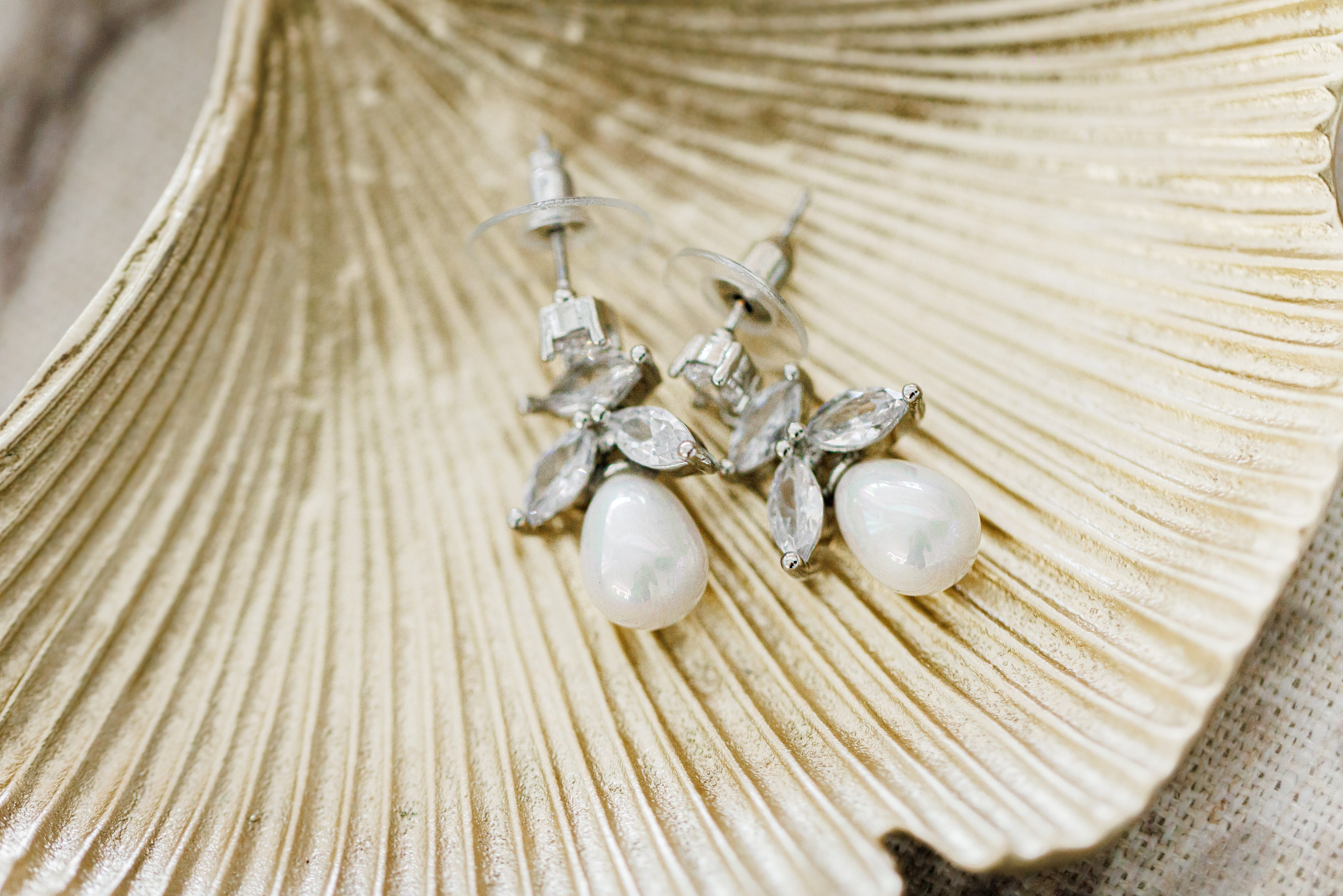 Ashley & Leshye, Falls Creek Farm Equestrian, NY. Wedding Photo & Video