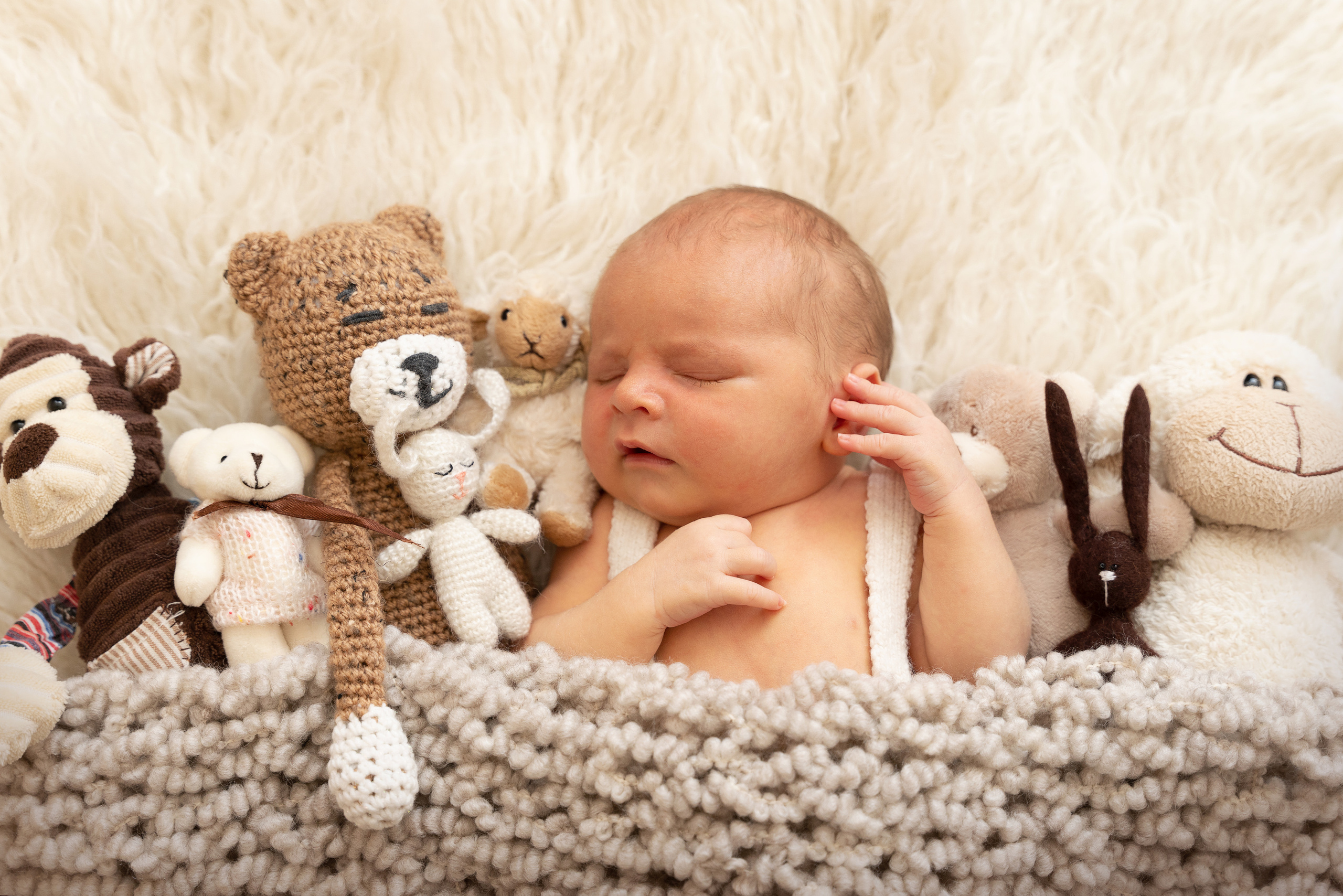 mit vielen süßen Kuschelbegleitern schläft es sich einfach nochmals viel schöner