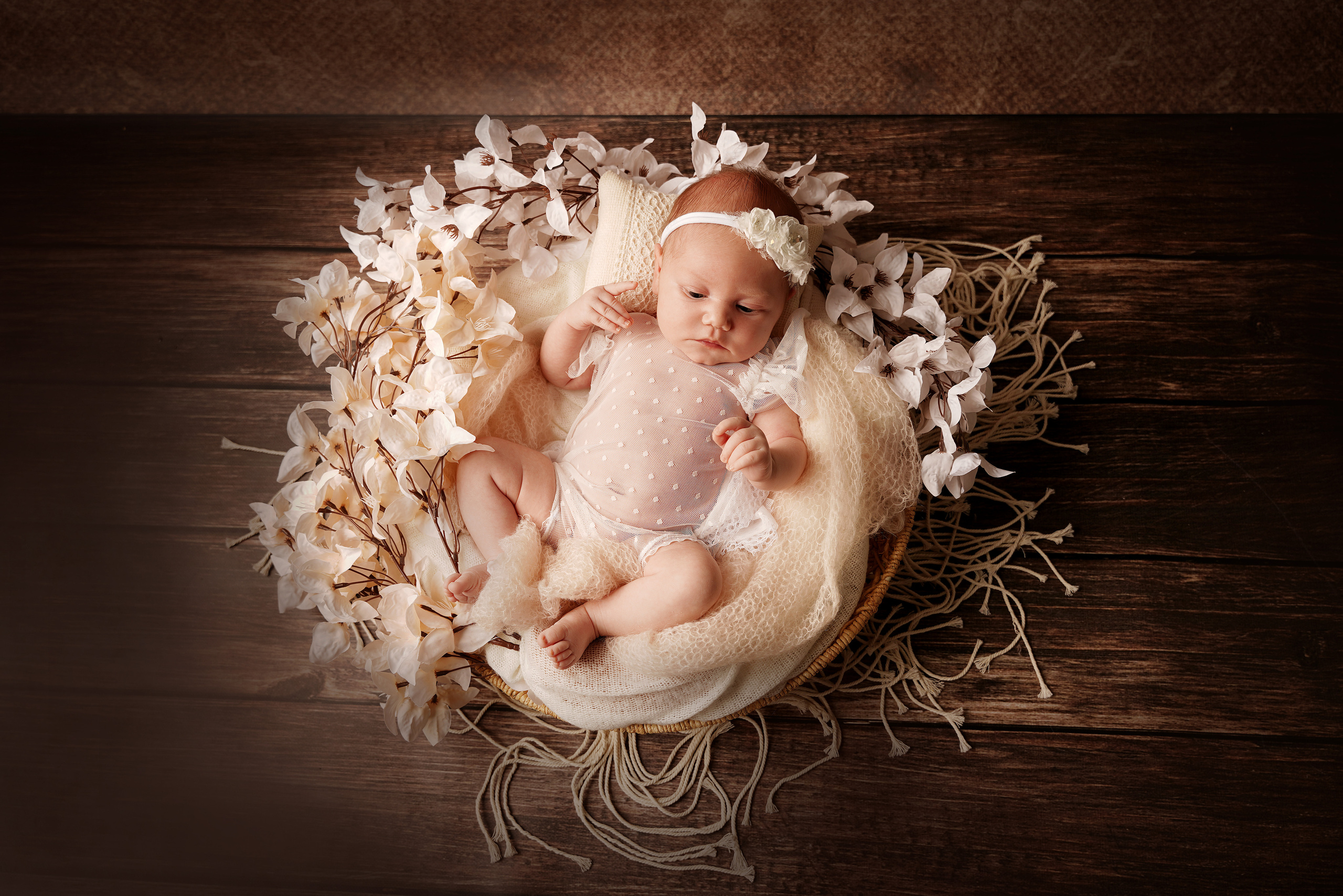 Baby posiert auf einem dunklen Hintergrund in einer runden Platte