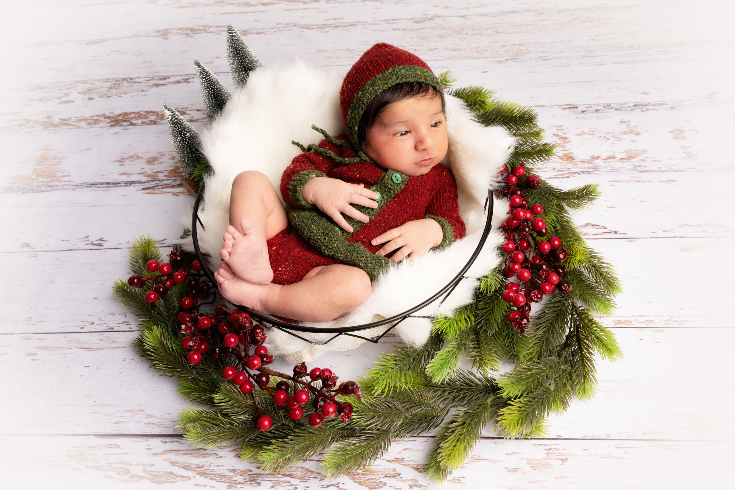 Neugeborenes Mädchen in einem Weihnachtskleid zwischen den Fichtenzweigen