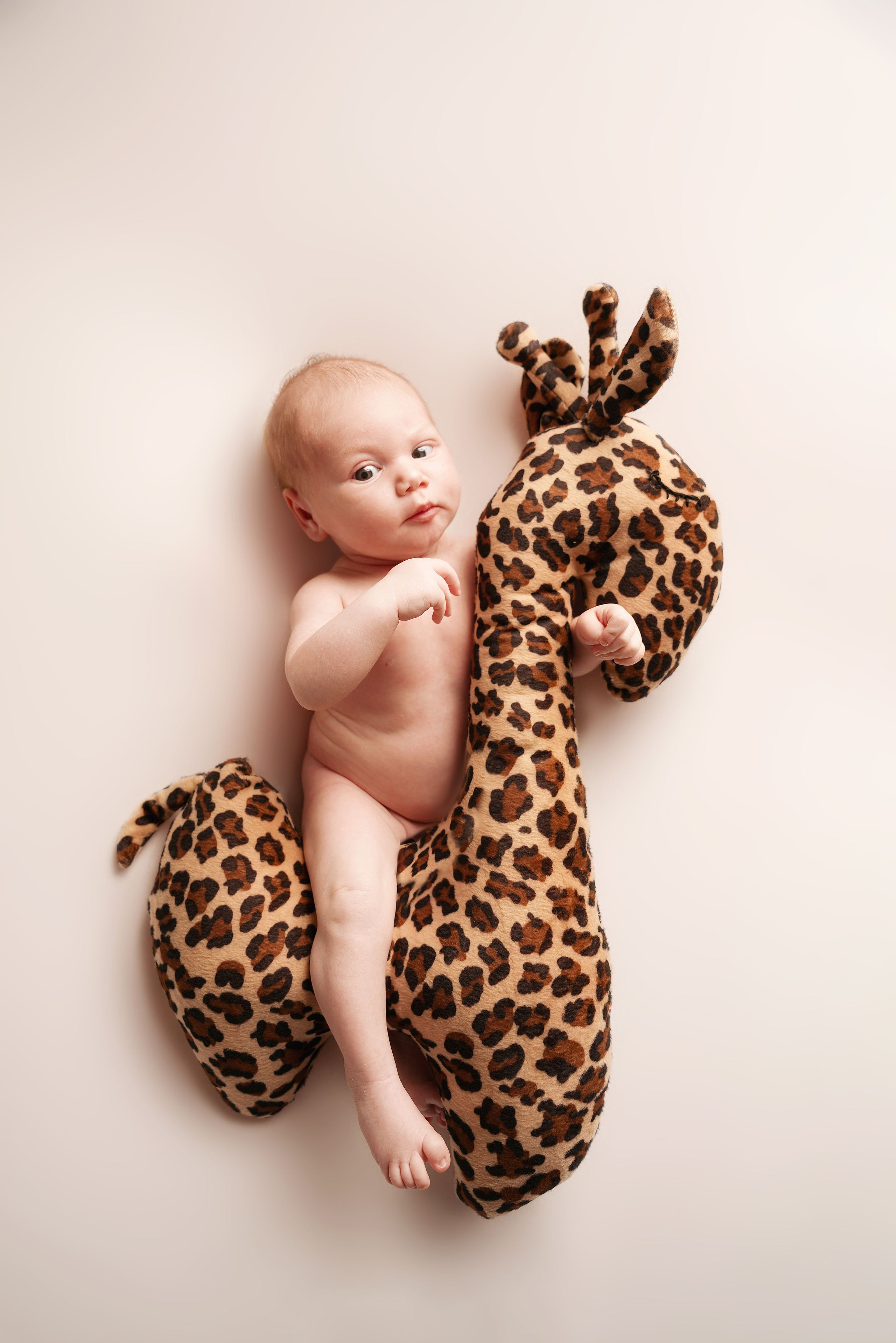 Requisiten für ein Kinderfotostudio