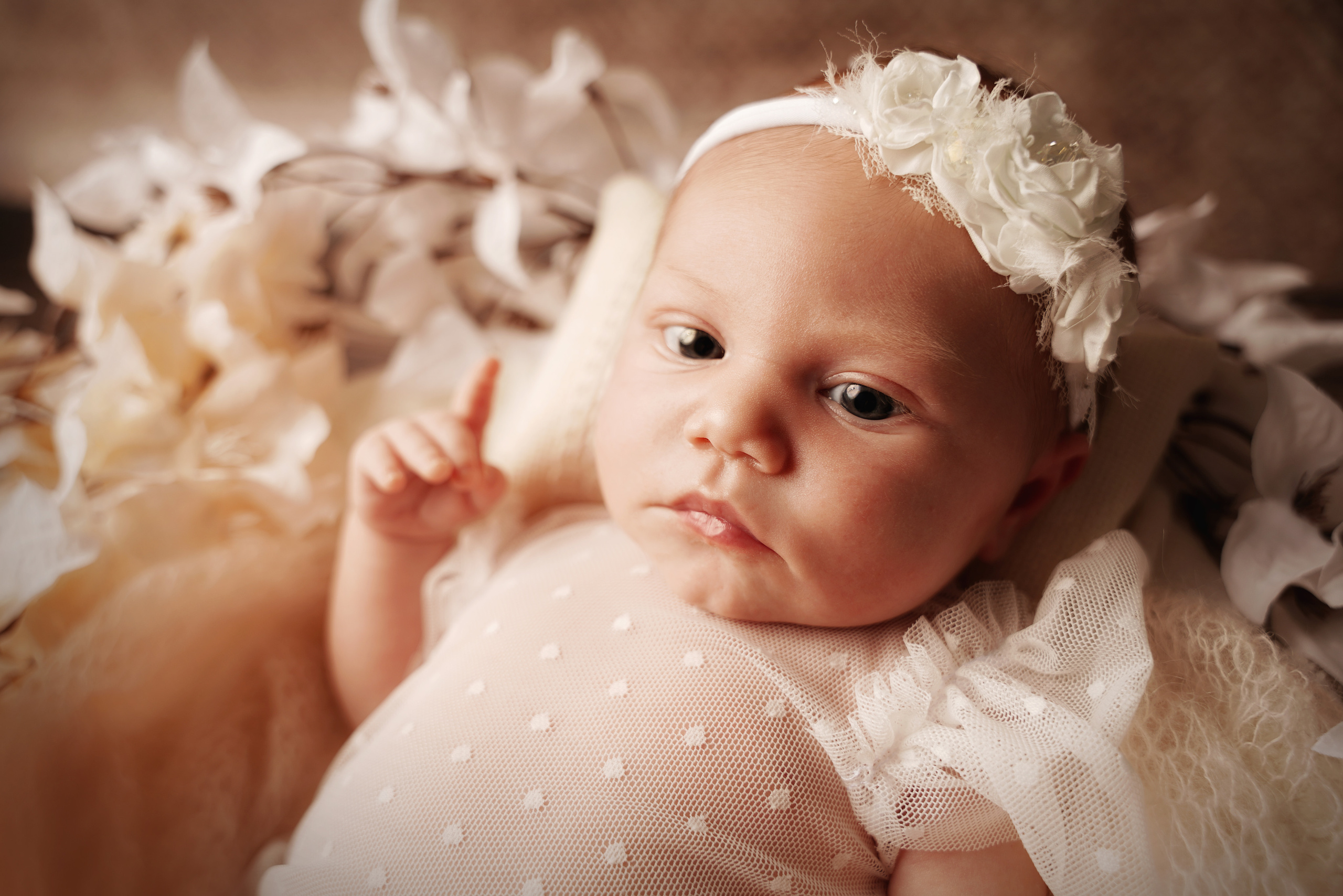 Neue Bilder unserer Babys auf dem Familienfotoshooting. Neugeborenenfotografin und Retoucher in Augsburg Nastassia Schneider