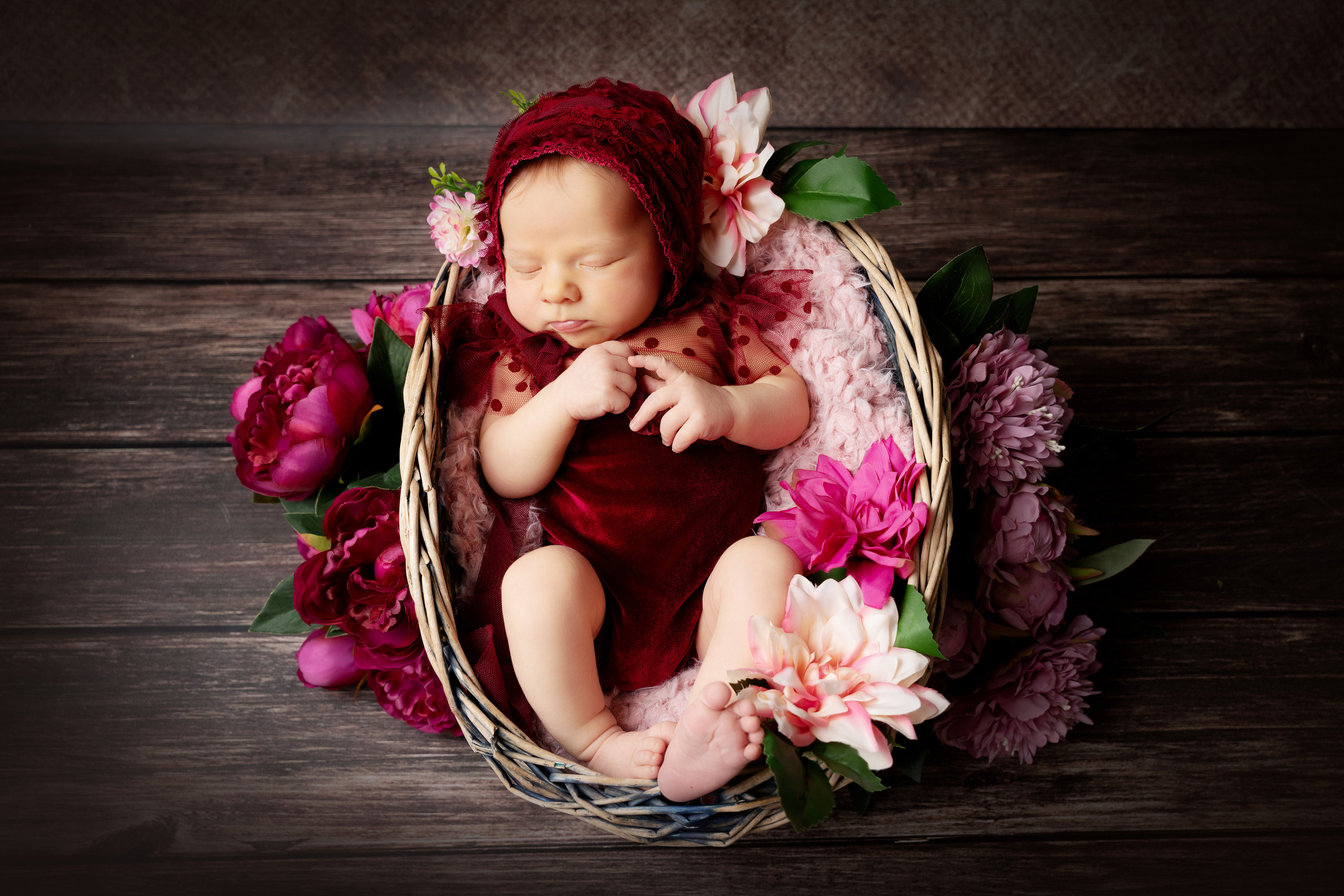 Neugeborenes Mädchen in einem burgunderroten Kleid unter Pfingstrosen