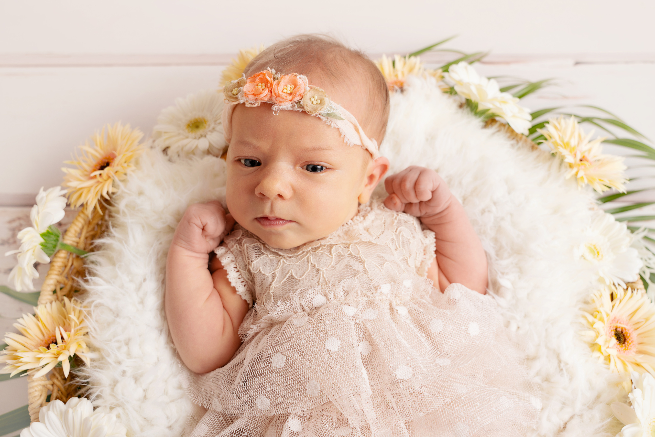 Baby zwischen gelben Gerberas mit passendem Verband