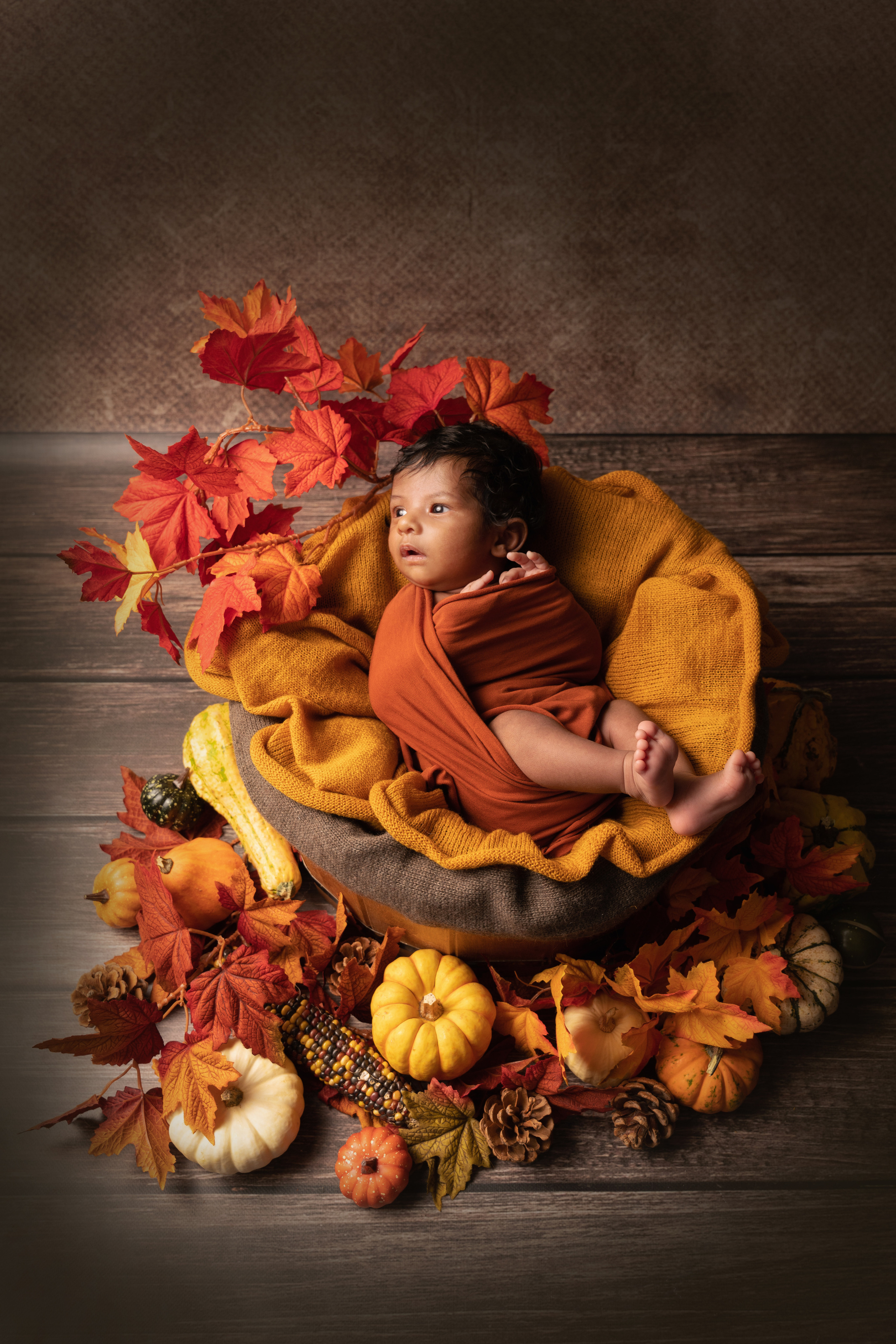 Indisches neugeborenes Mädchen auf dem Hintergrund von Ahornherbstblättern