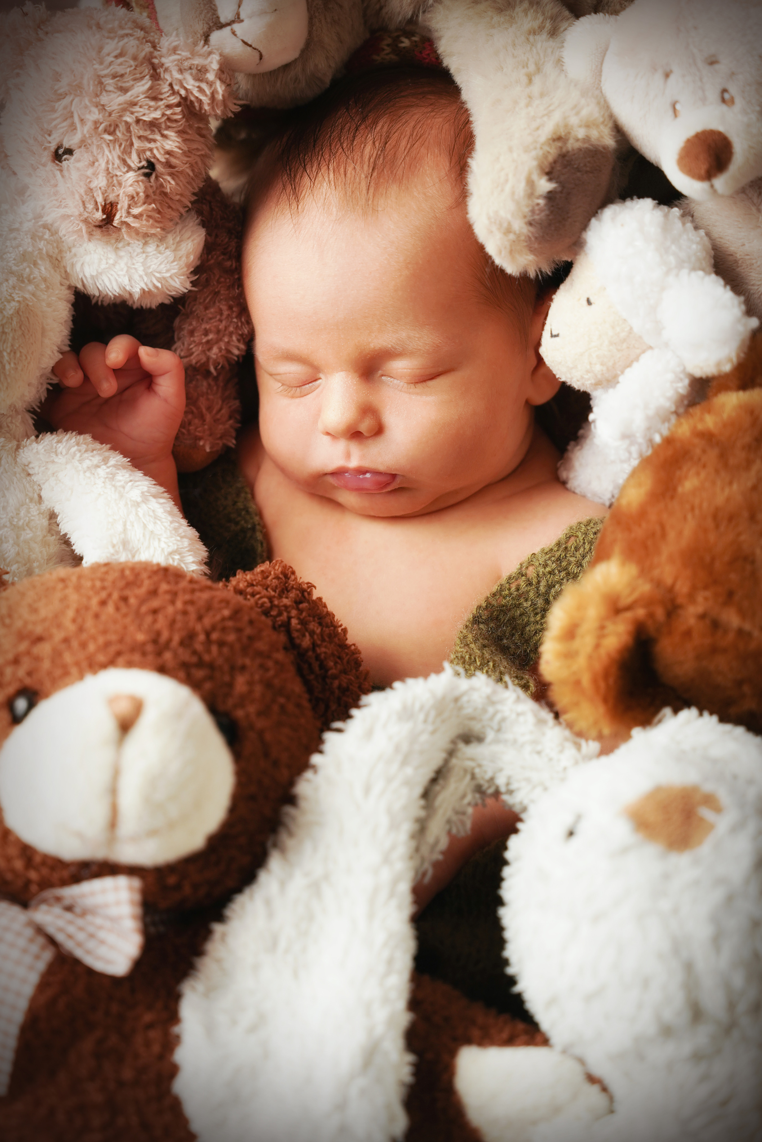 Zwischen den Stofftieren lugt die Nase eines neugeborenen Jungen hervor
