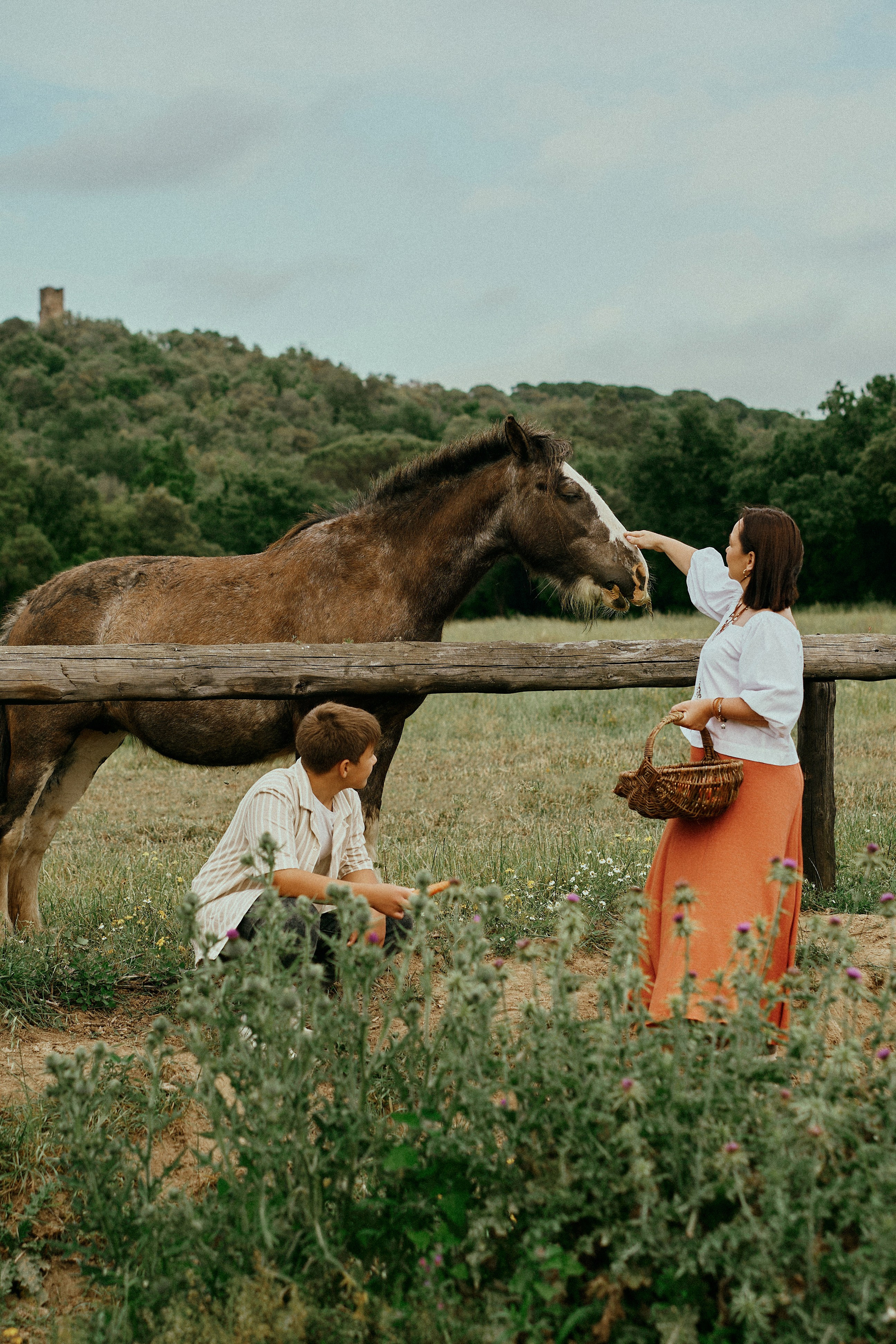 Летний день с лошадьми. Fotógrafa en España Zhanna Zakharchenko