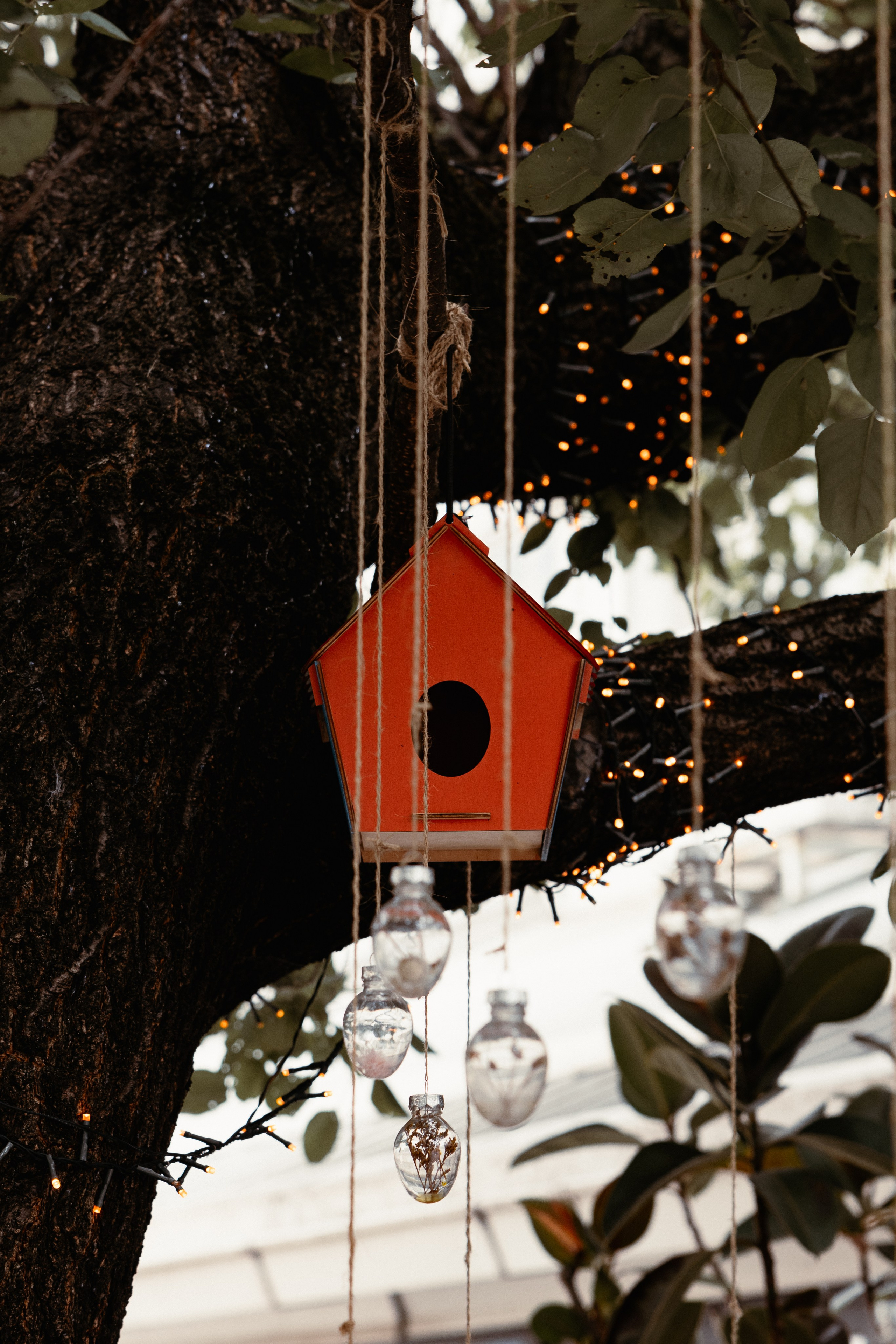 Alex Birthday Party. Дизайнер и Фотограф в Кишинёве Бусуйок Станислав