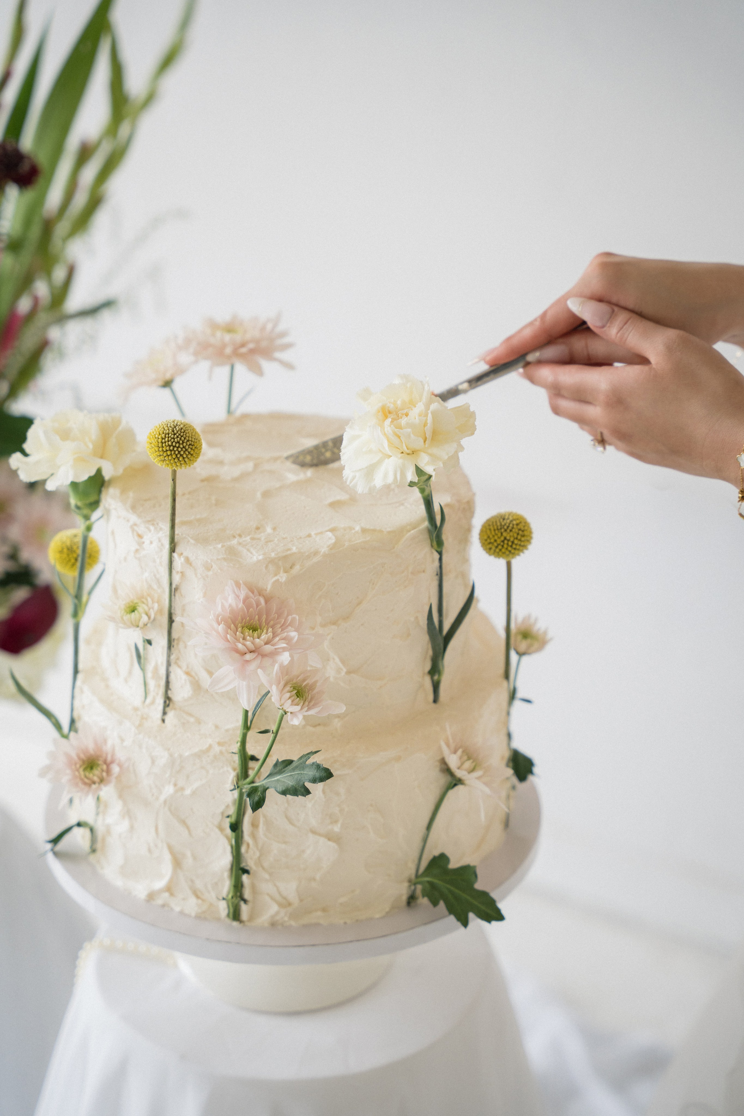 Apphia | Bridal session. Photographer in Washington Sophia D