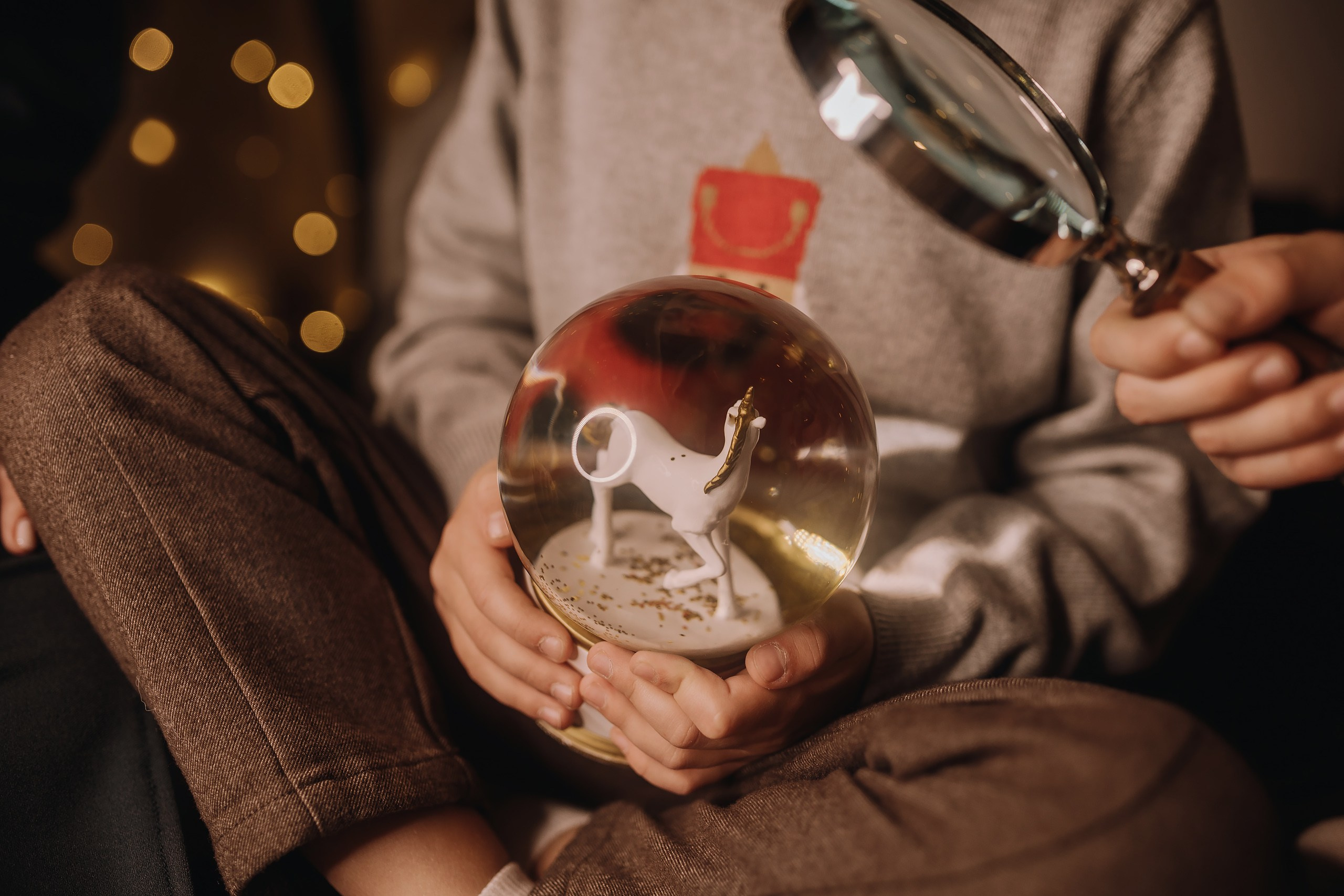 26.11.2023 Christmas Photoshoot. Wedding family event photographer in Chicago Nick Yushevich