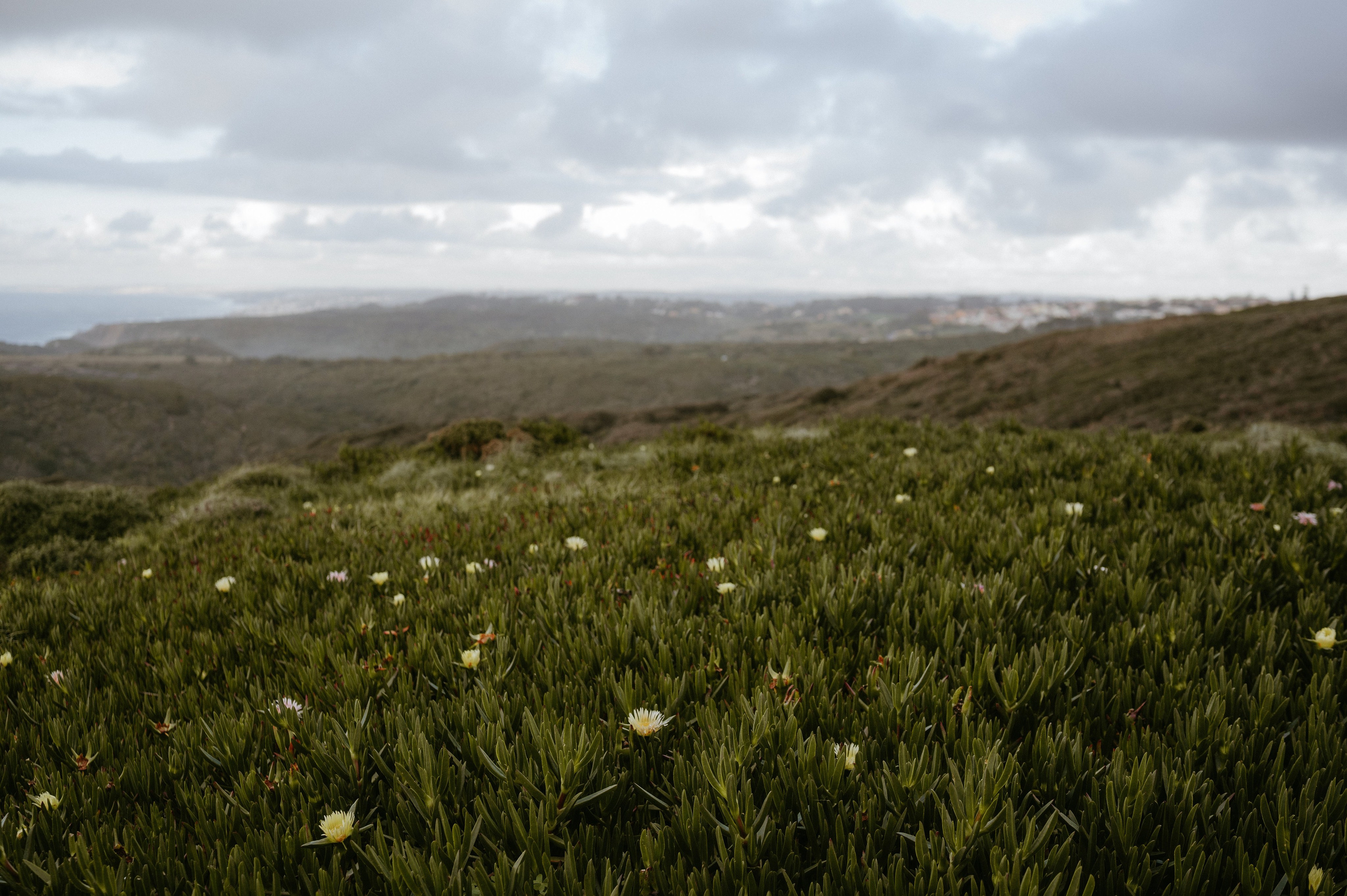 Praia da Ursa – ședință foto de cuplu într-un loc magic din Portugalia. Valentin Melen — wedding photographer