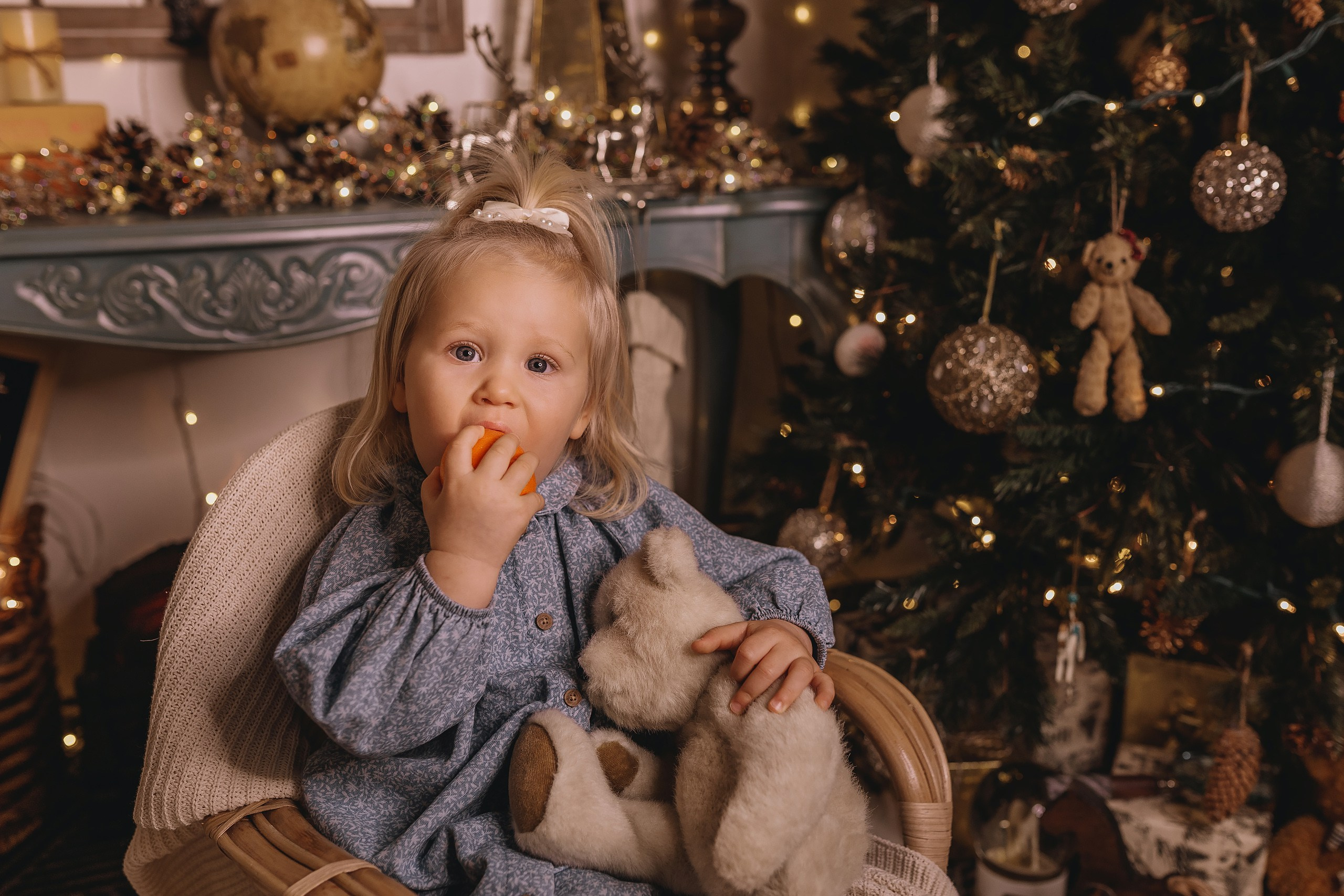 12.08.2025 Christmas Photoshoot. Wedding family event photographer in Chicago Nick Yushevich