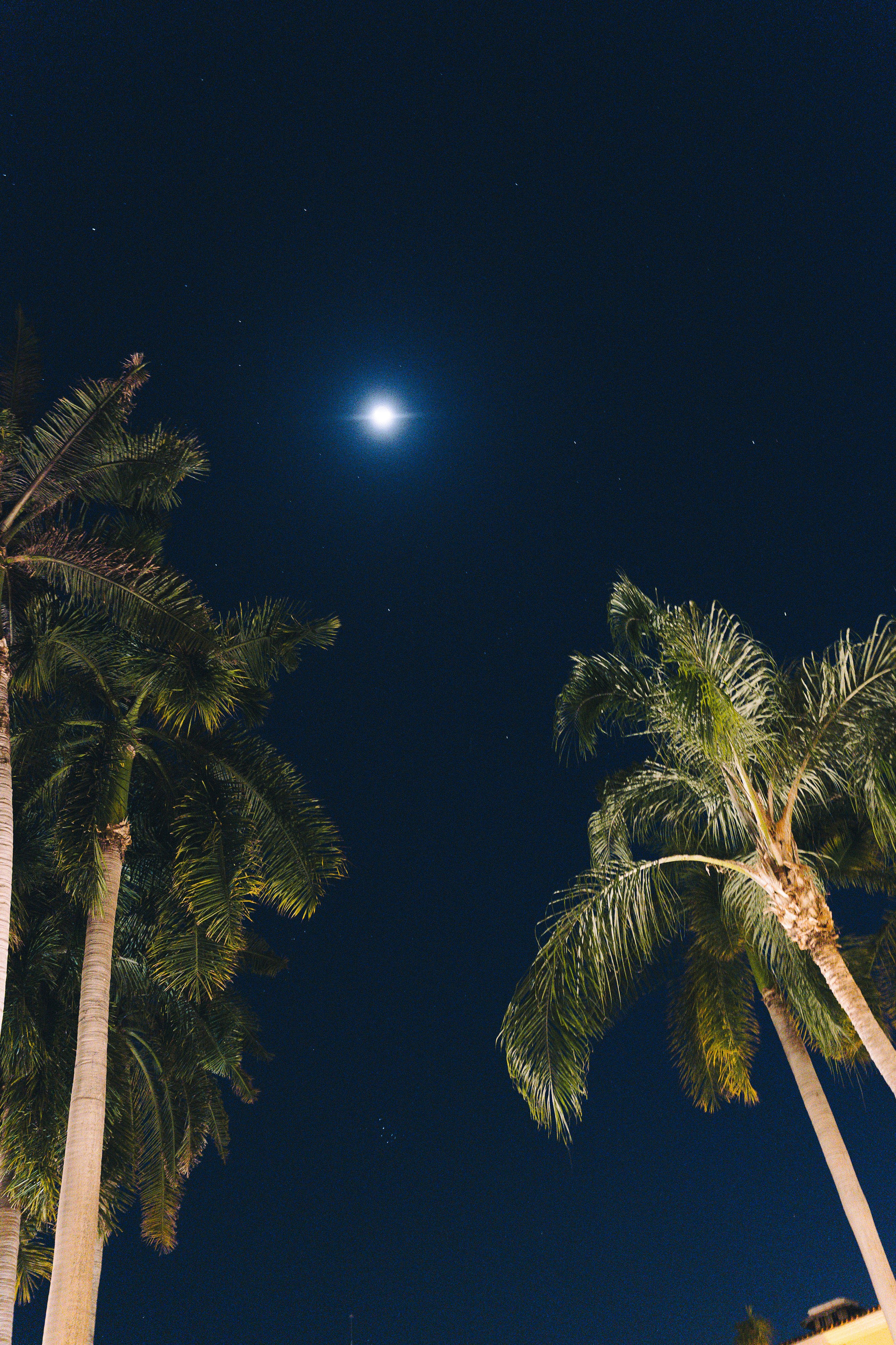 Emilee&Ryan.full. Sayulita Wedding Photographer, Puerto Vallarta, Cabo