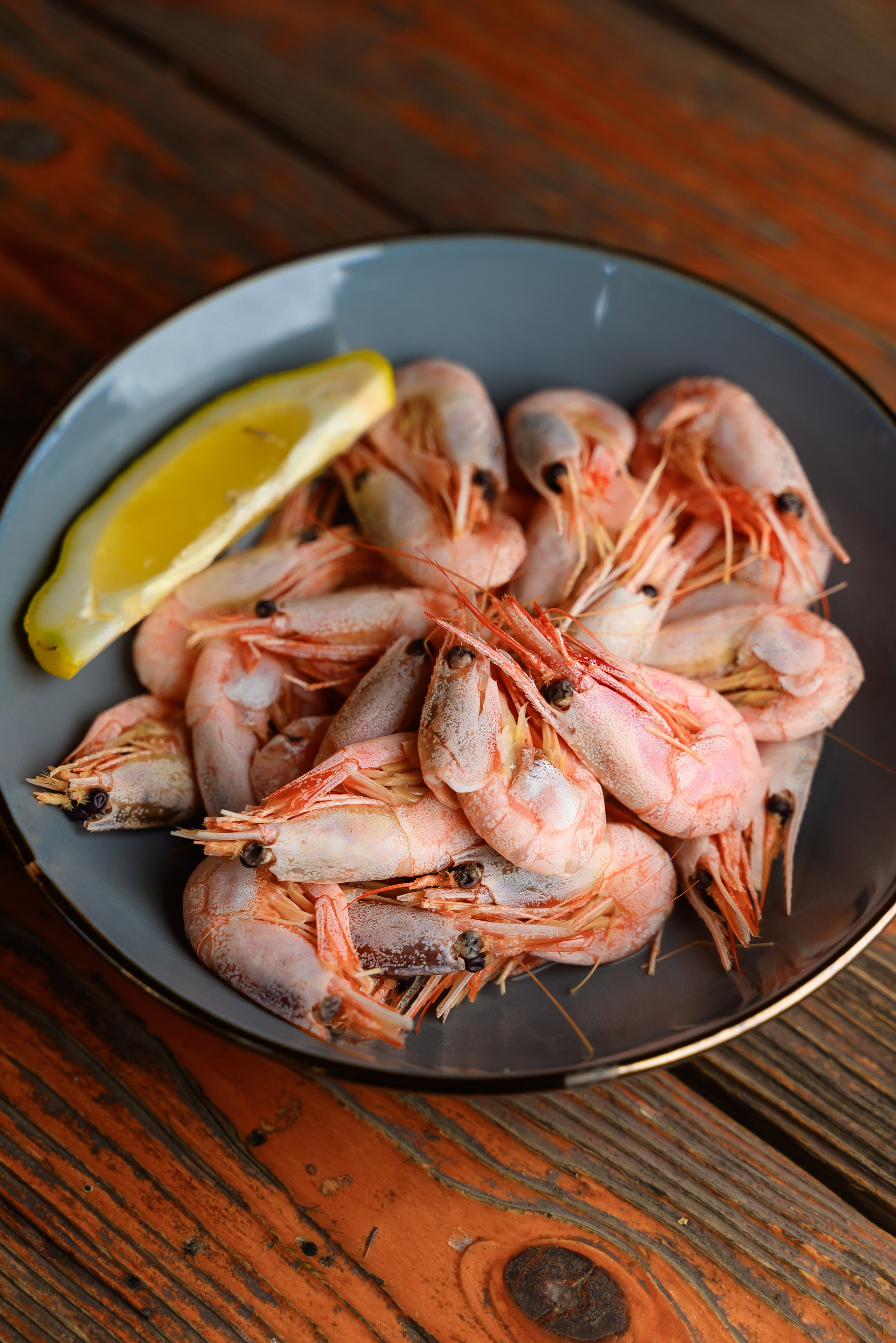 FOOD Photo. ST.PHOTO13