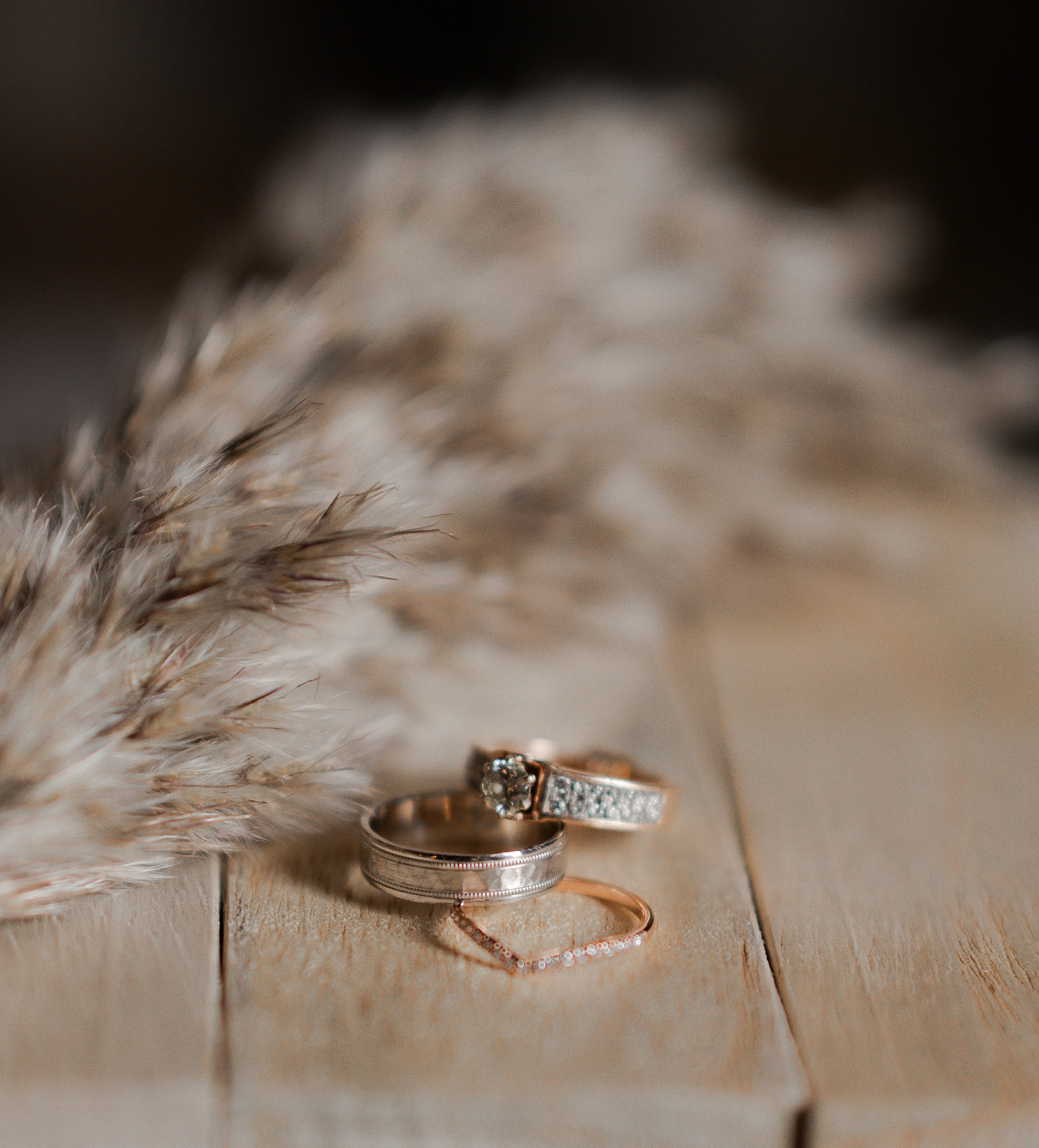 Jasmeet & Racheal’s Punjabi-Canadian Wedding Shoot | Welland, Niagara Falls