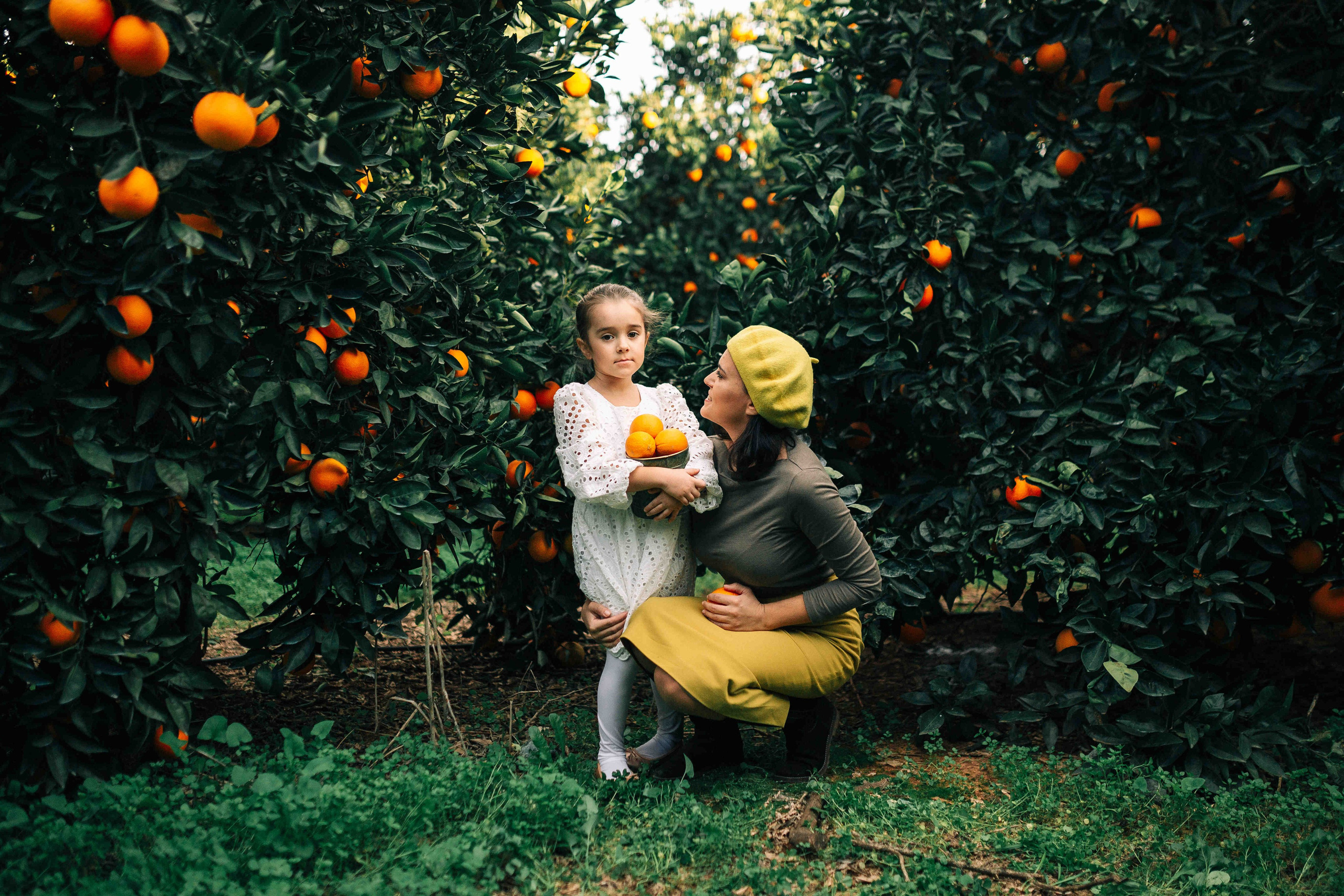 MANDARNINE GARDEN. Https://shi-photo.com/