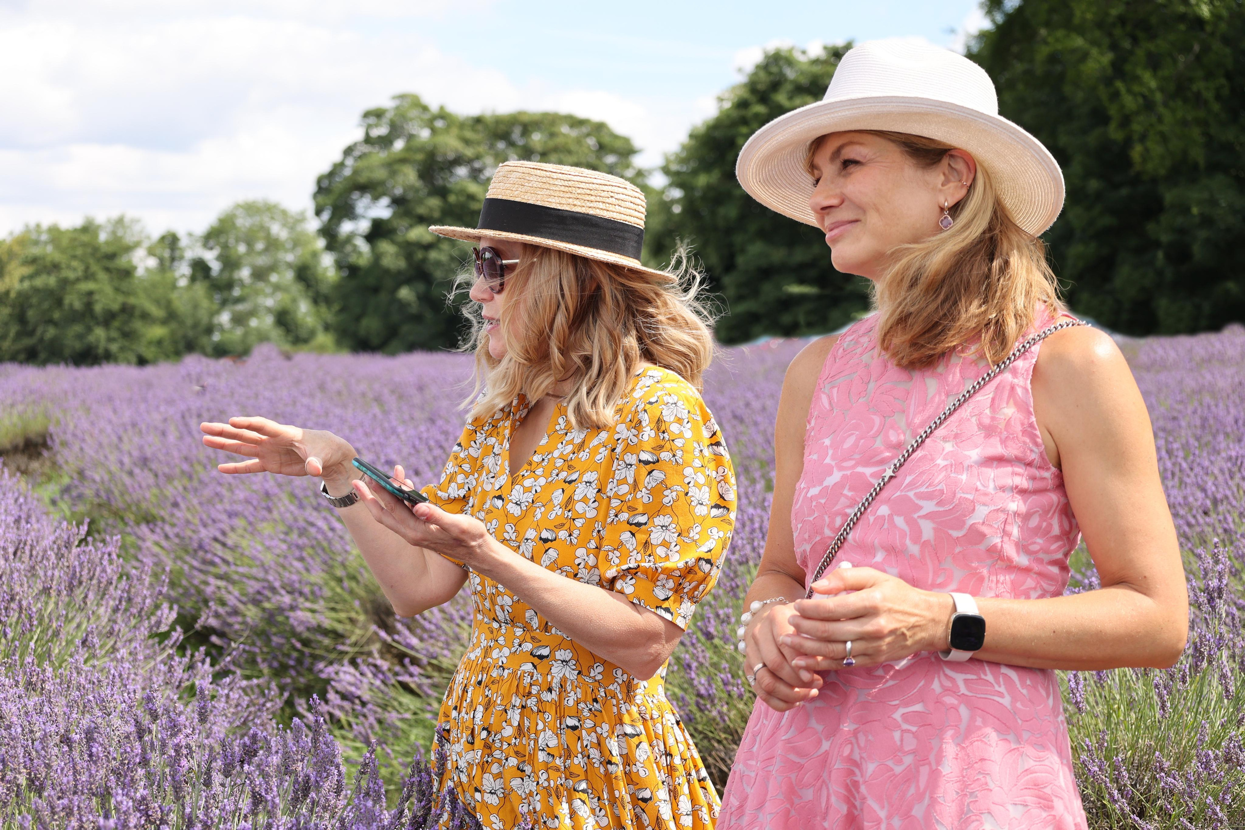Lavender field, London. Couples and portraits photographer Wimbledon London