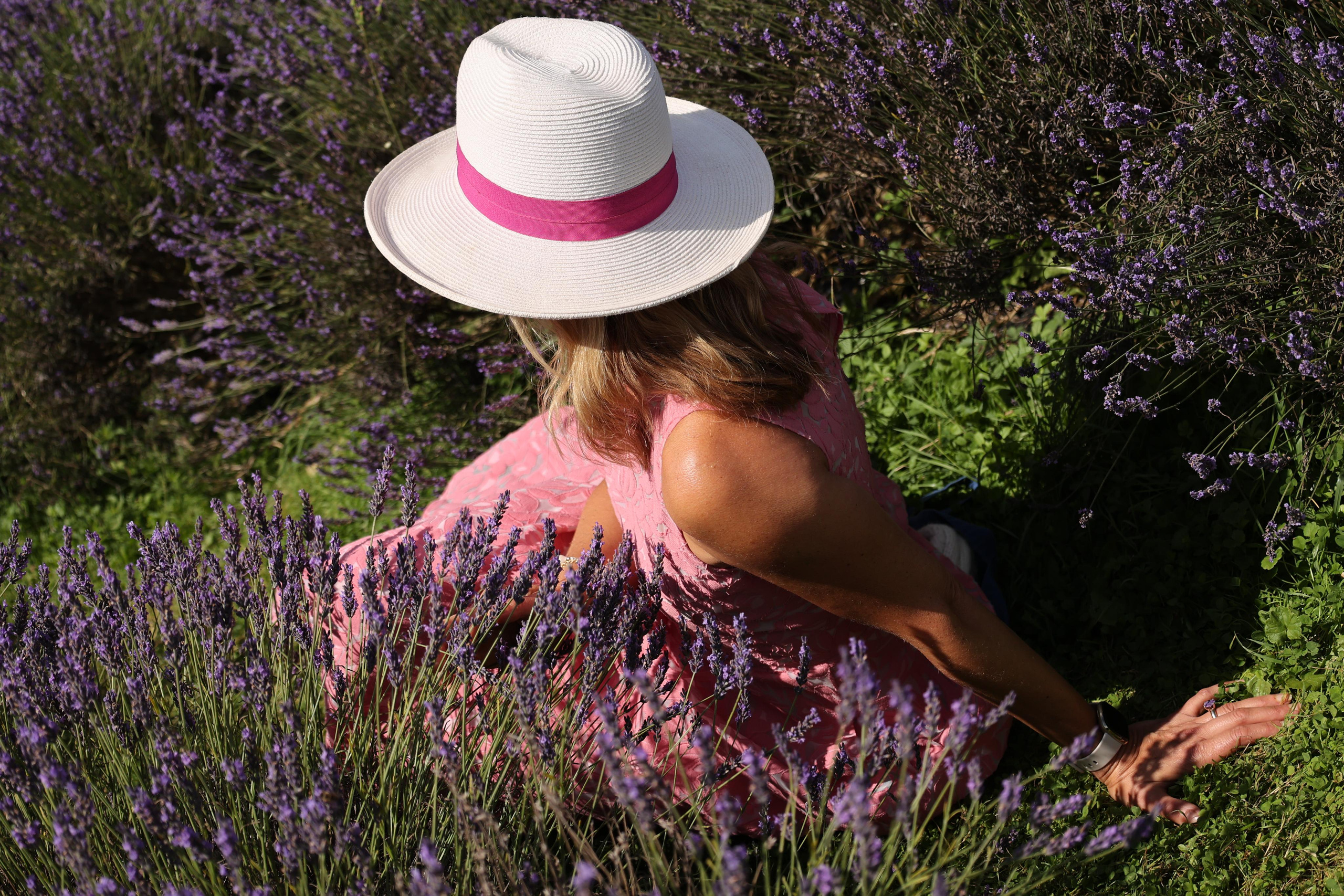 Lavender field, London. Couples and portraits photographer Wimbledon London