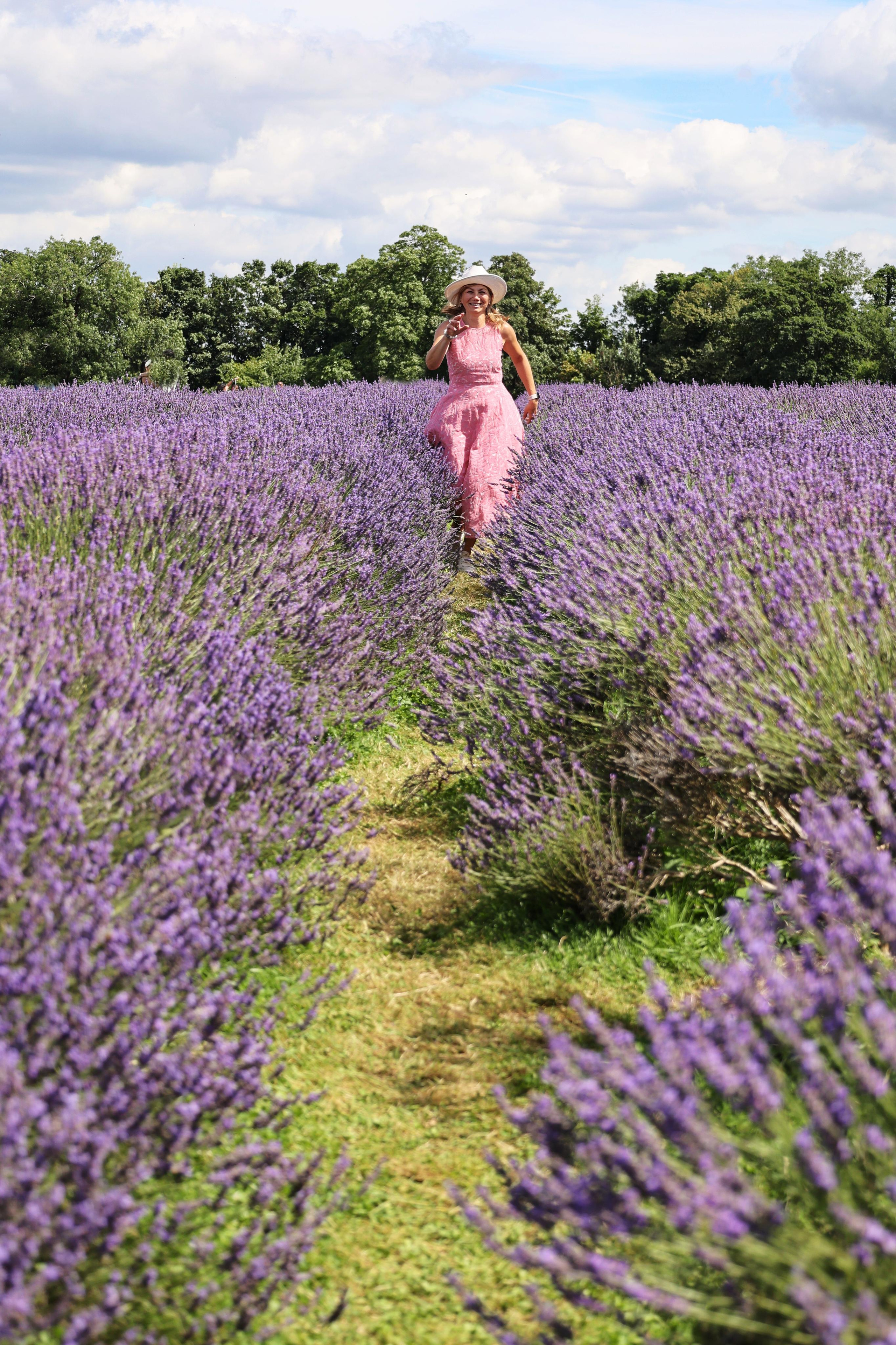 Lavender field, London. Couples and portraits photographer Wimbledon London