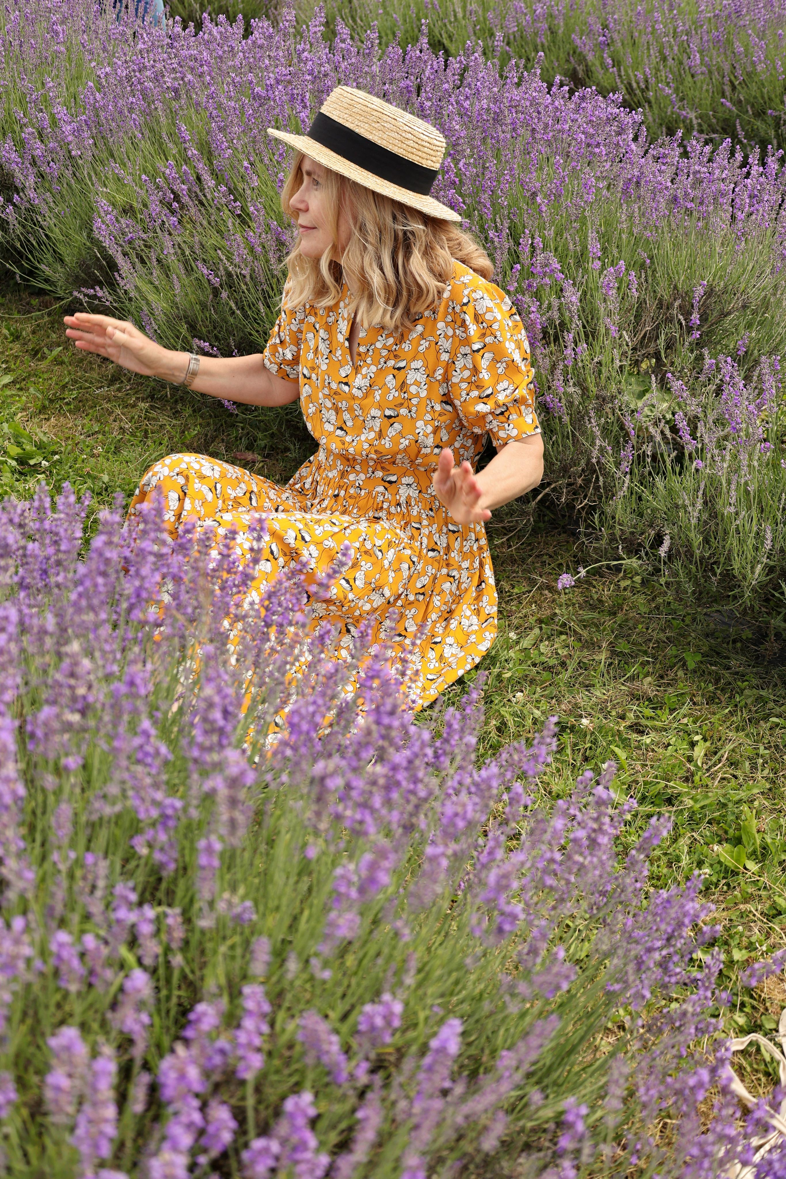 Lavender field, London. Couples and portraits photographer Wimbledon London