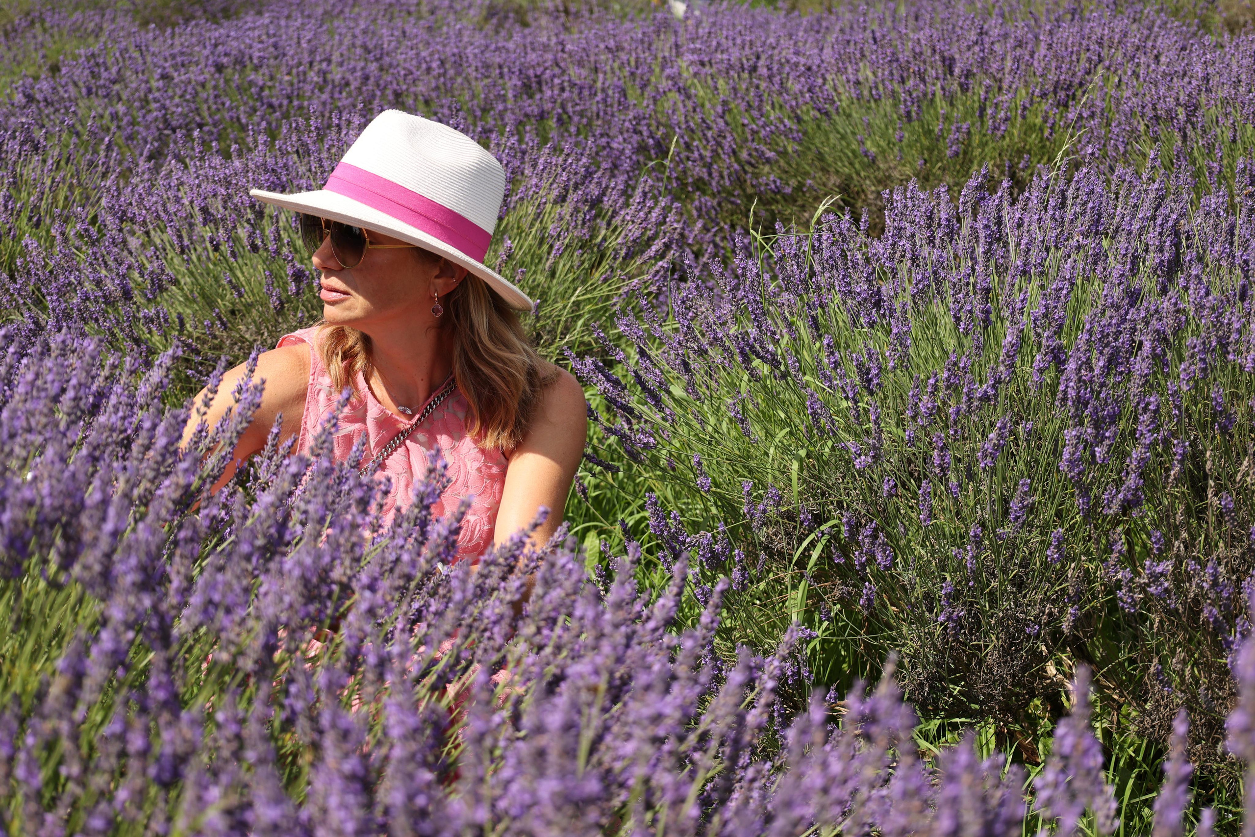 Lavender field, London. Couples and portraits photographer Wimbledon London